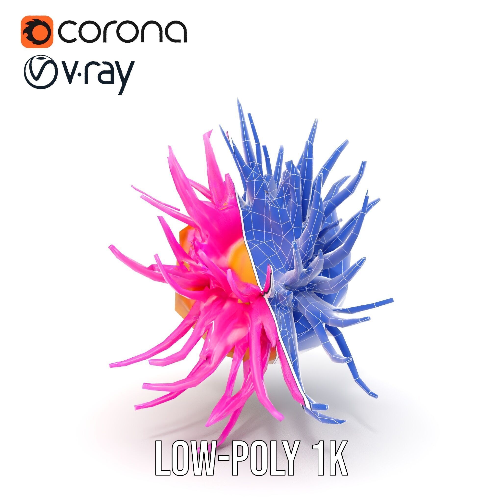 Sea Anemone Vibrant Tentacles Model Pack Low-poly 3D model_26