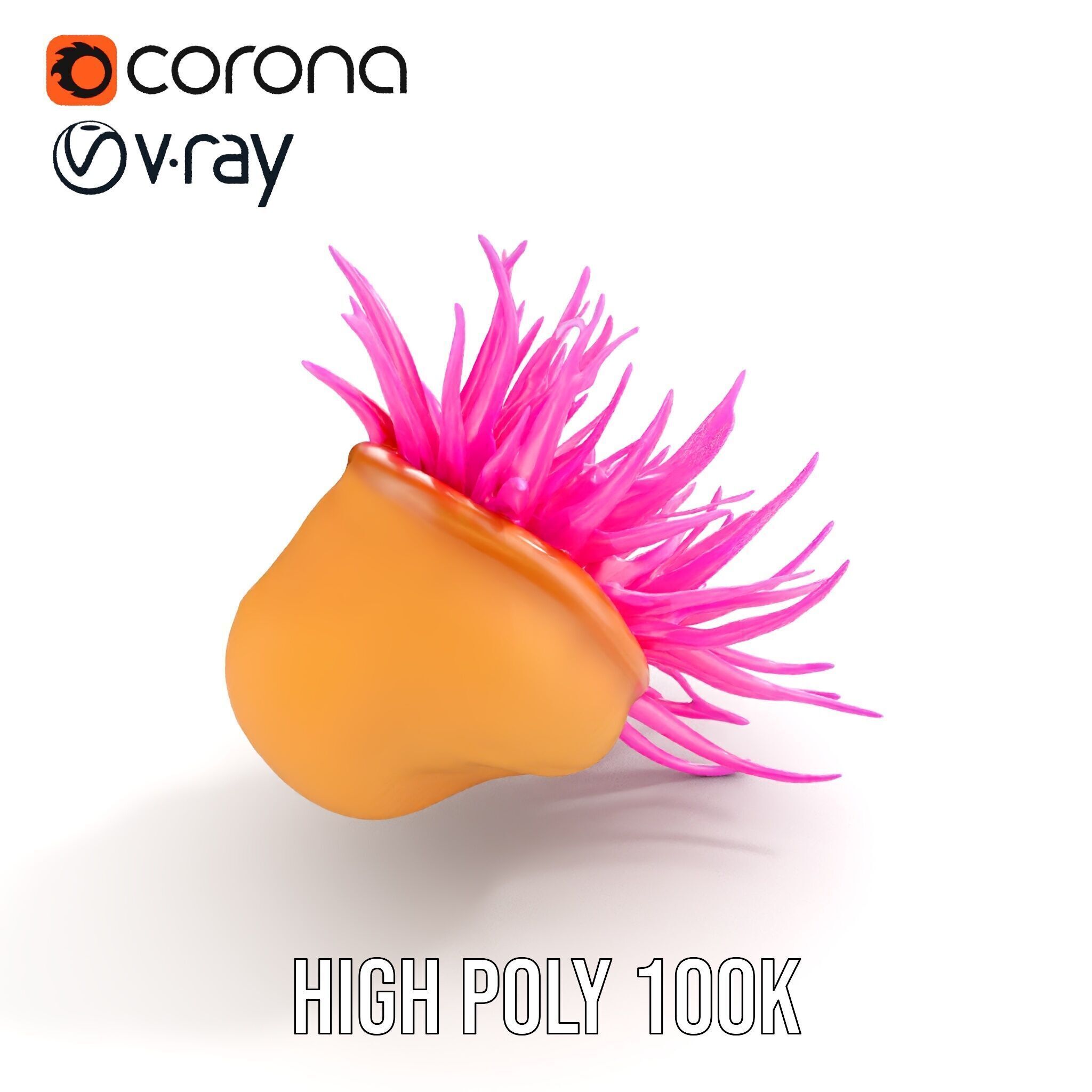 Sea Anemone Vibrant Tentacles Model Pack Low-poly 3D model_19
