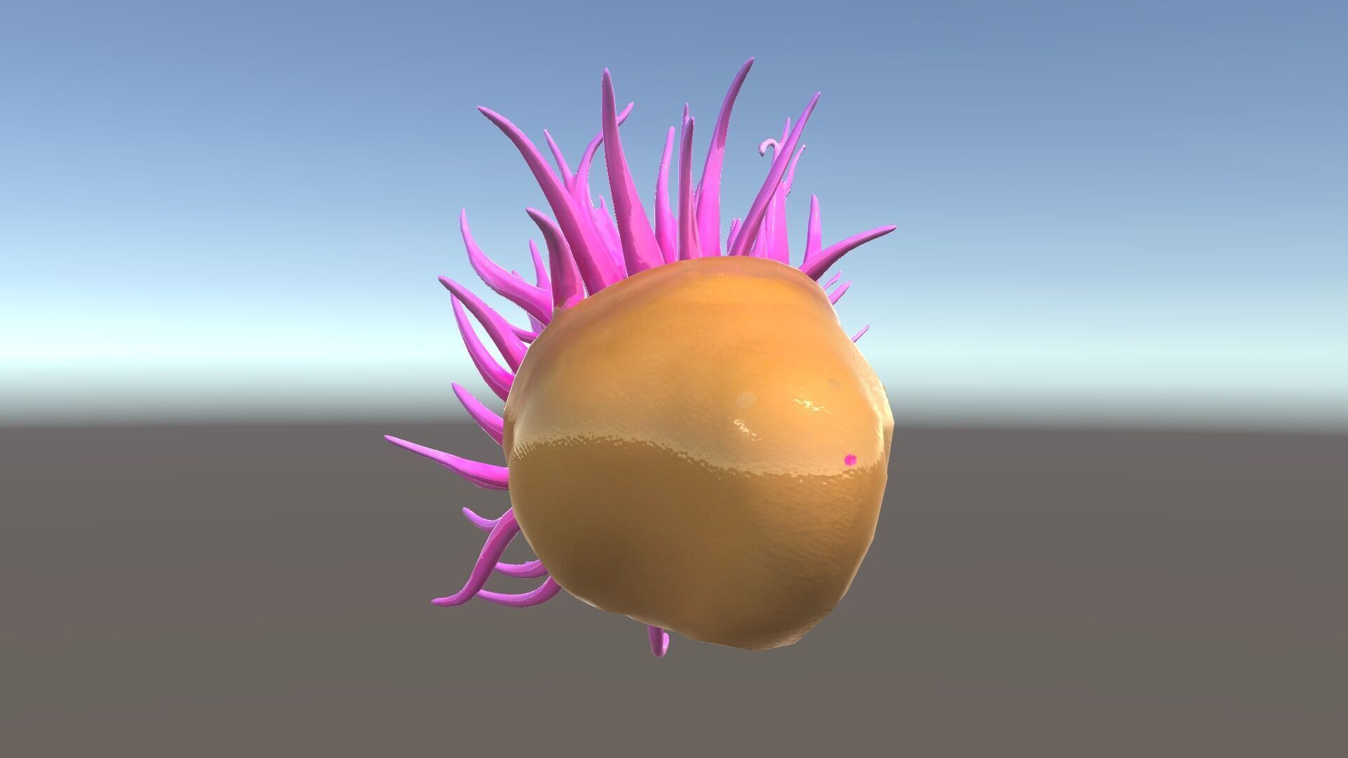 Sea Anemone Vibrant Tentacles Model Pack Low-poly 3D model_33