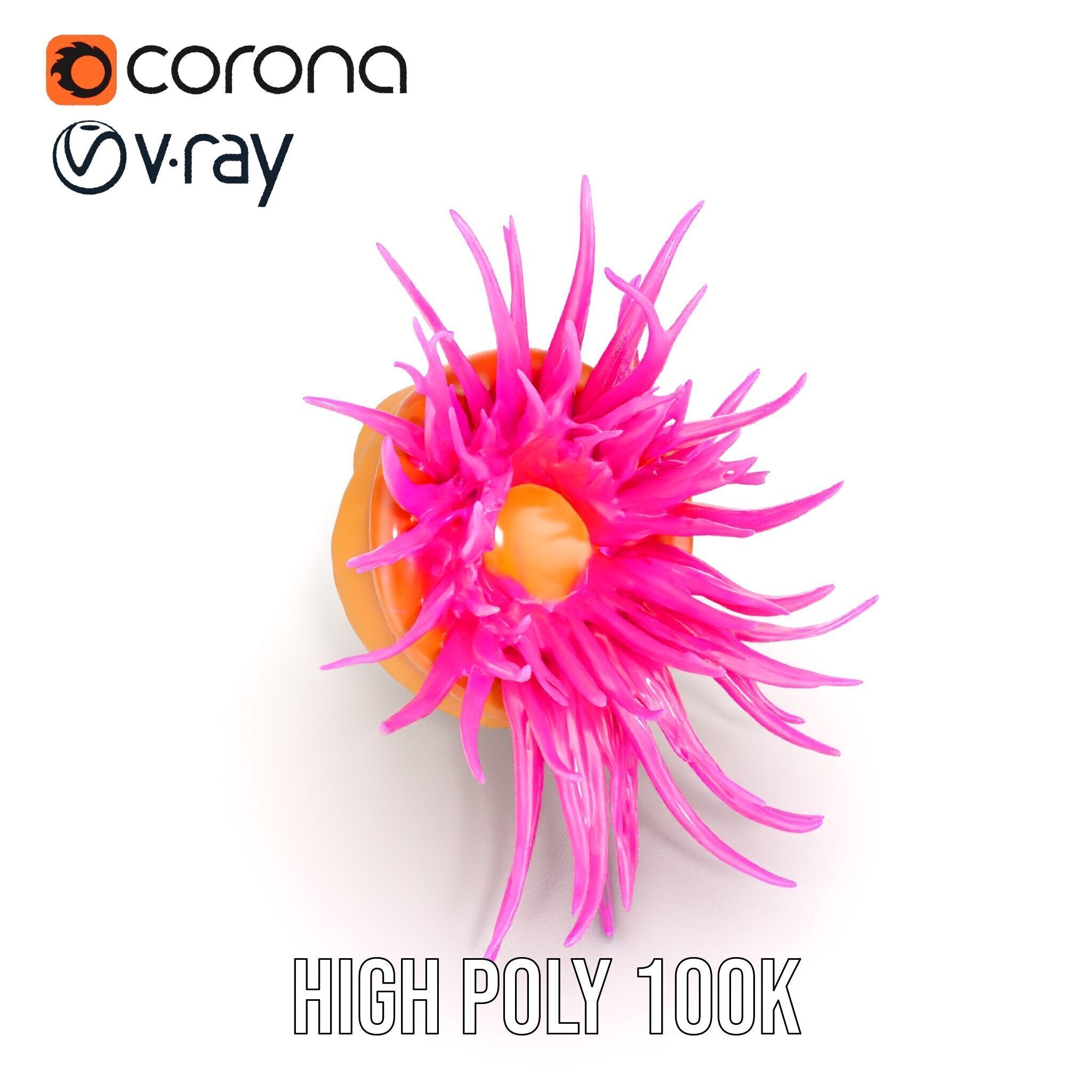 Sea Anemone Vibrant Tentacles Model Pack Low-poly 3D model_27