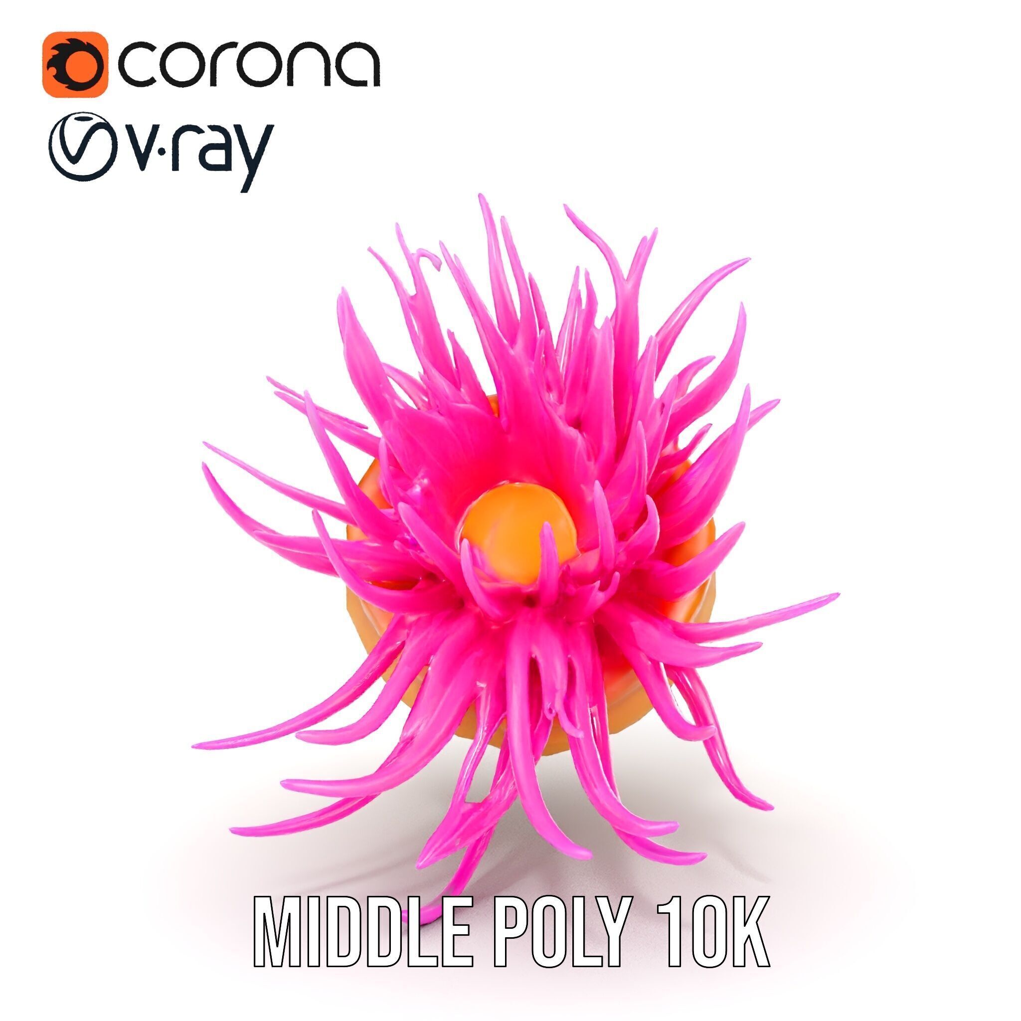 Sea Anemone Vibrant Tentacles Model Pack Low-poly 3D model_9