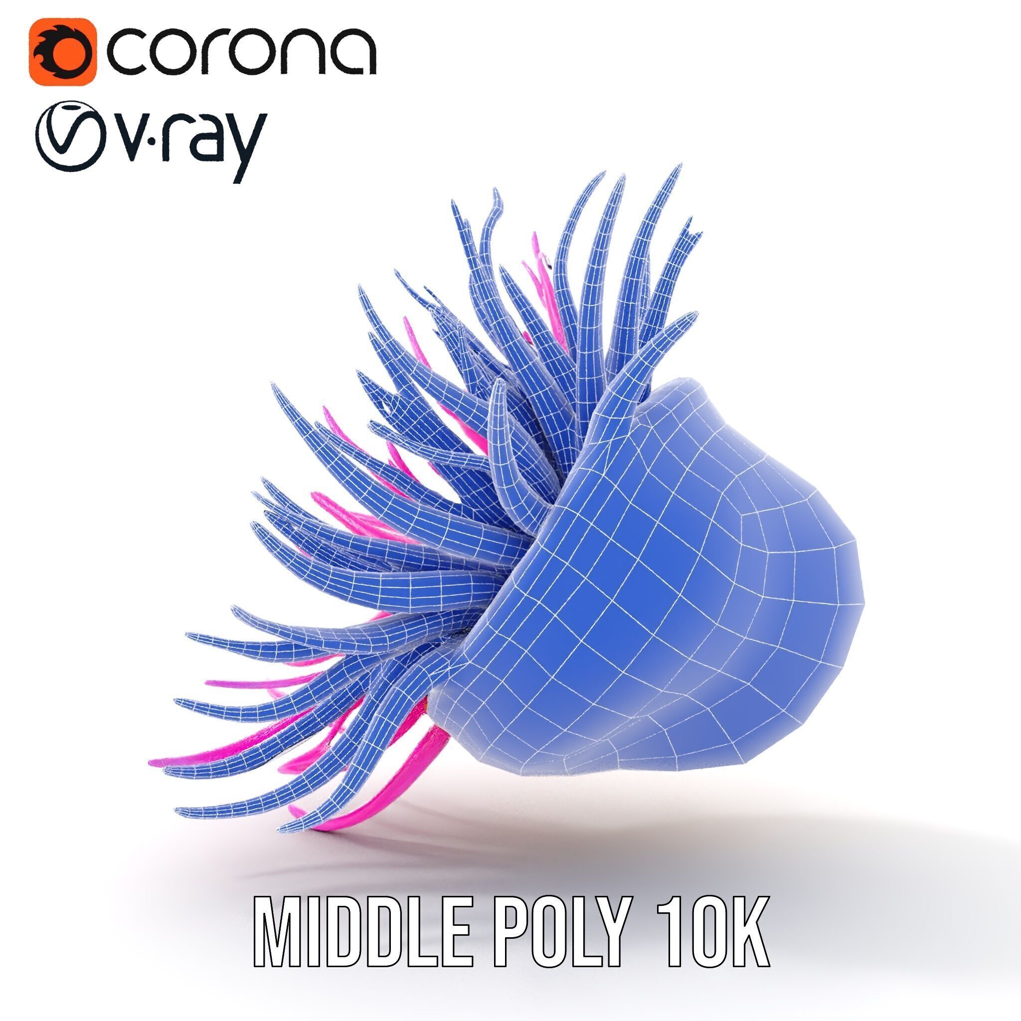 Sea Anemone Vibrant Tentacles Model Pack Low-poly 3D model_15
