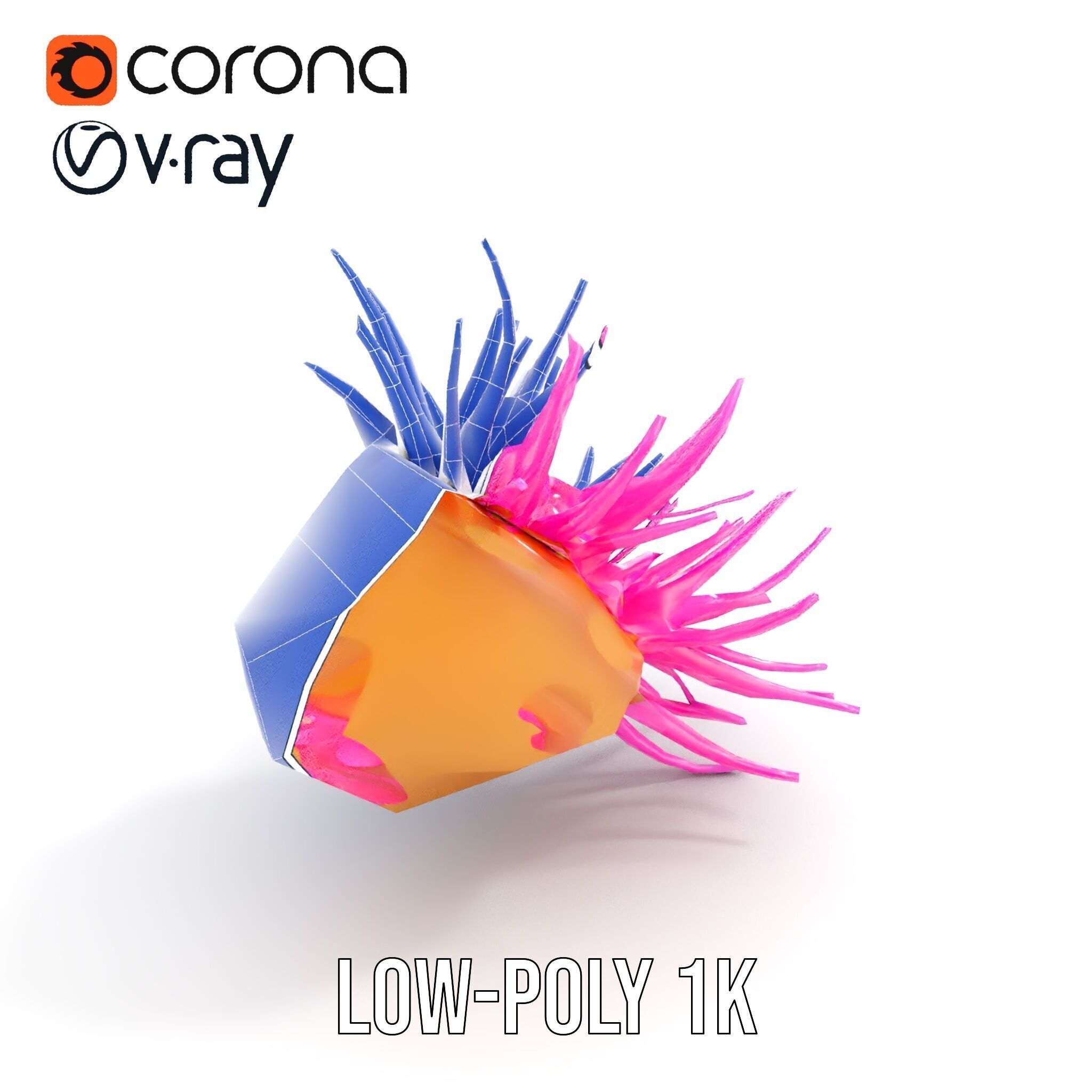 Sea Anemone Vibrant Tentacles Model Pack Low-poly 3D model_10