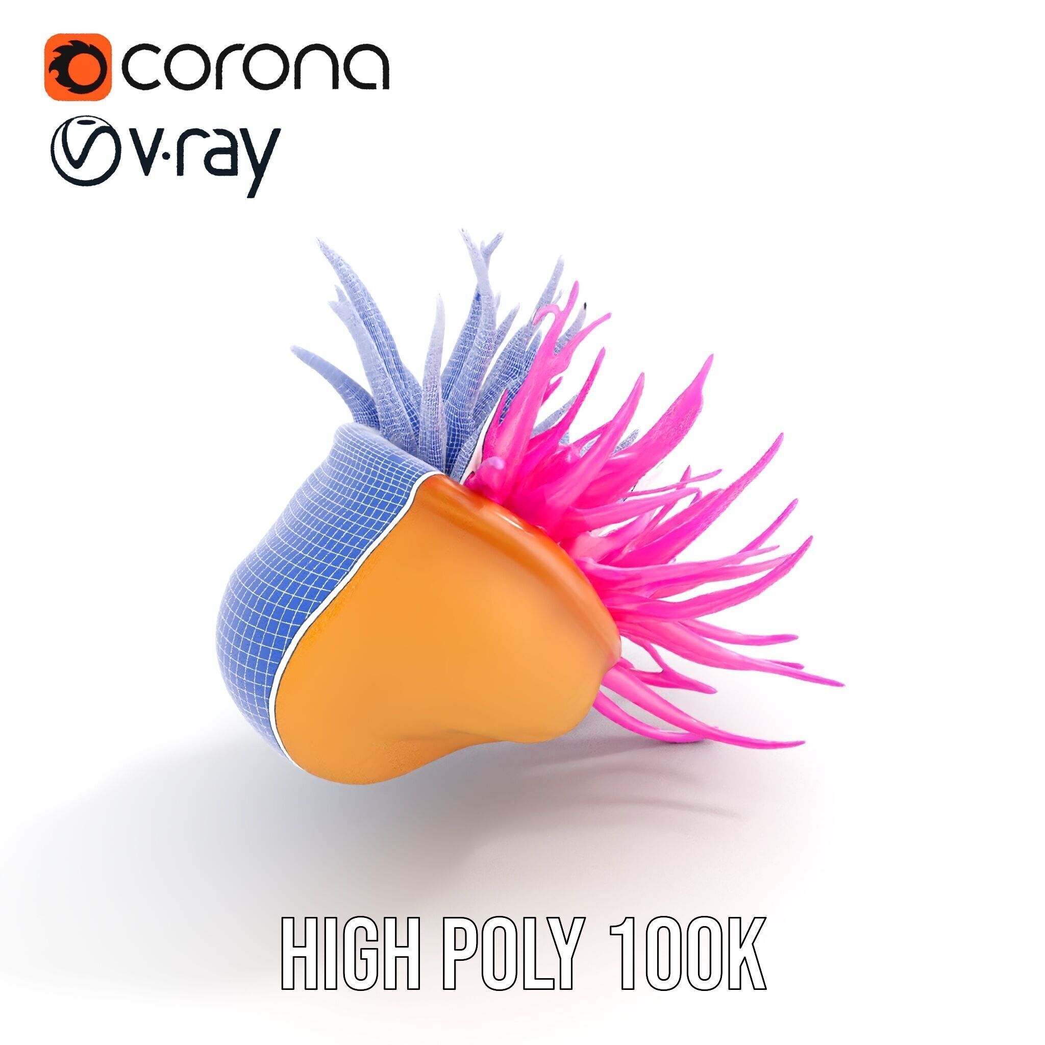 Sea Anemone Vibrant Tentacles Model Pack Low-poly 3D model_35