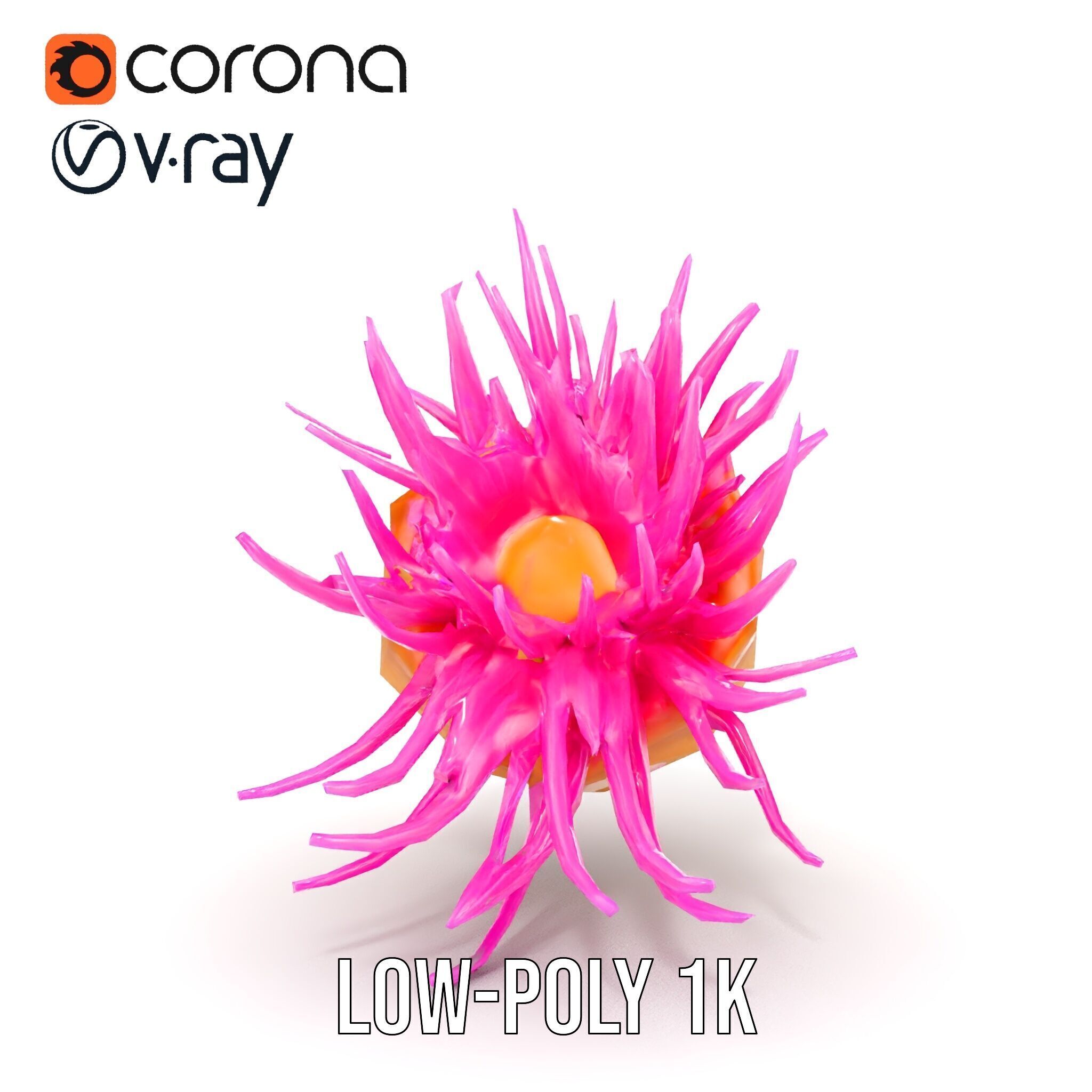 Sea Anemone Vibrant Tentacles Model Pack Low-poly 3D model_29