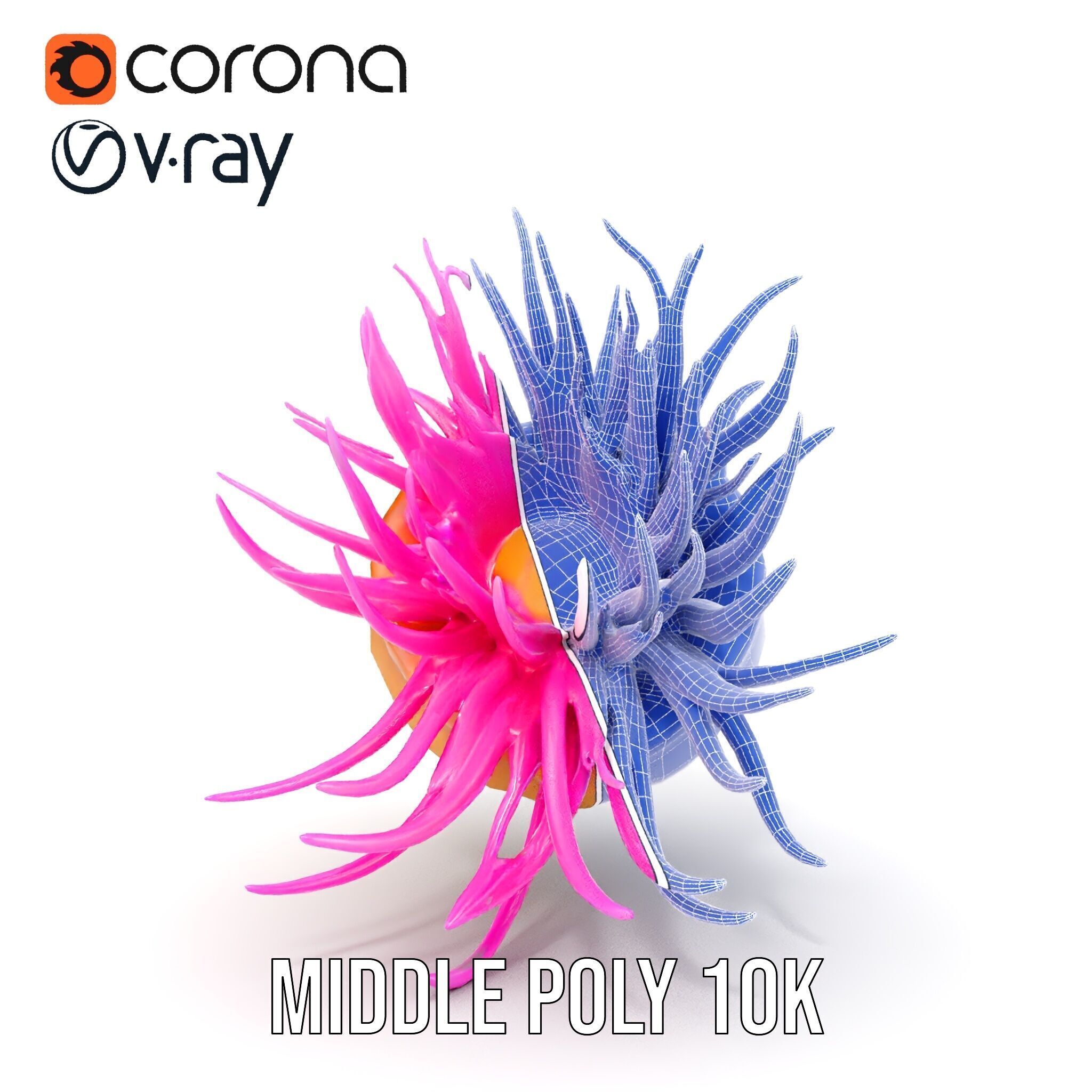 Sea Anemone Vibrant Tentacles Model Pack Low-poly 3D model_31