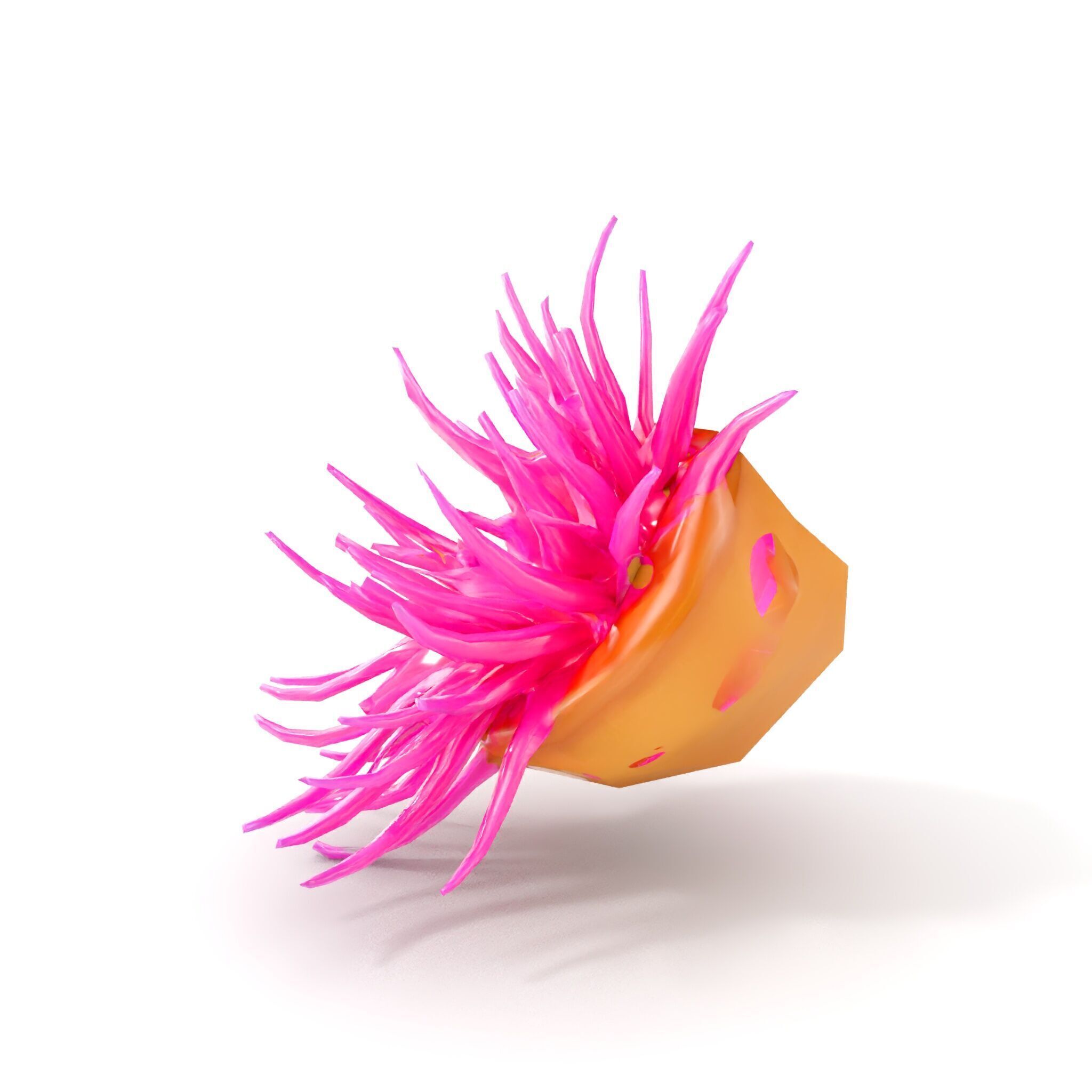 Sea Anemone Vibrant Tentacles Model Pack Low-poly 3D model_7