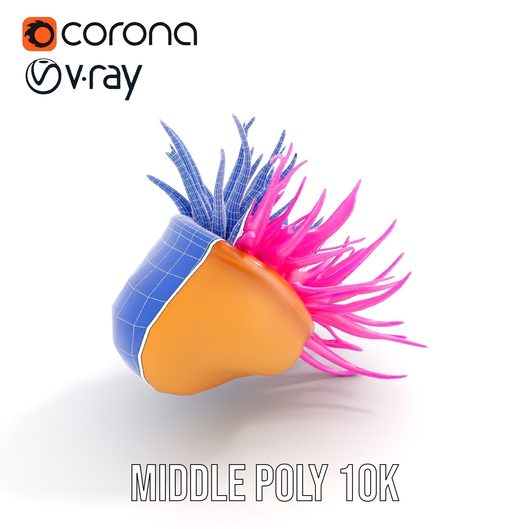 Sea Anemone Vibrant Tentacles Model Pack Low-poly 3D model_20