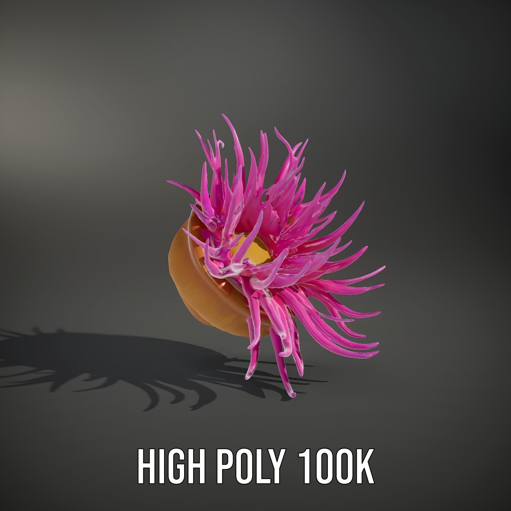 Sea Anemone Vibrant Tentacles Model Pack Low-poly 3D model_14