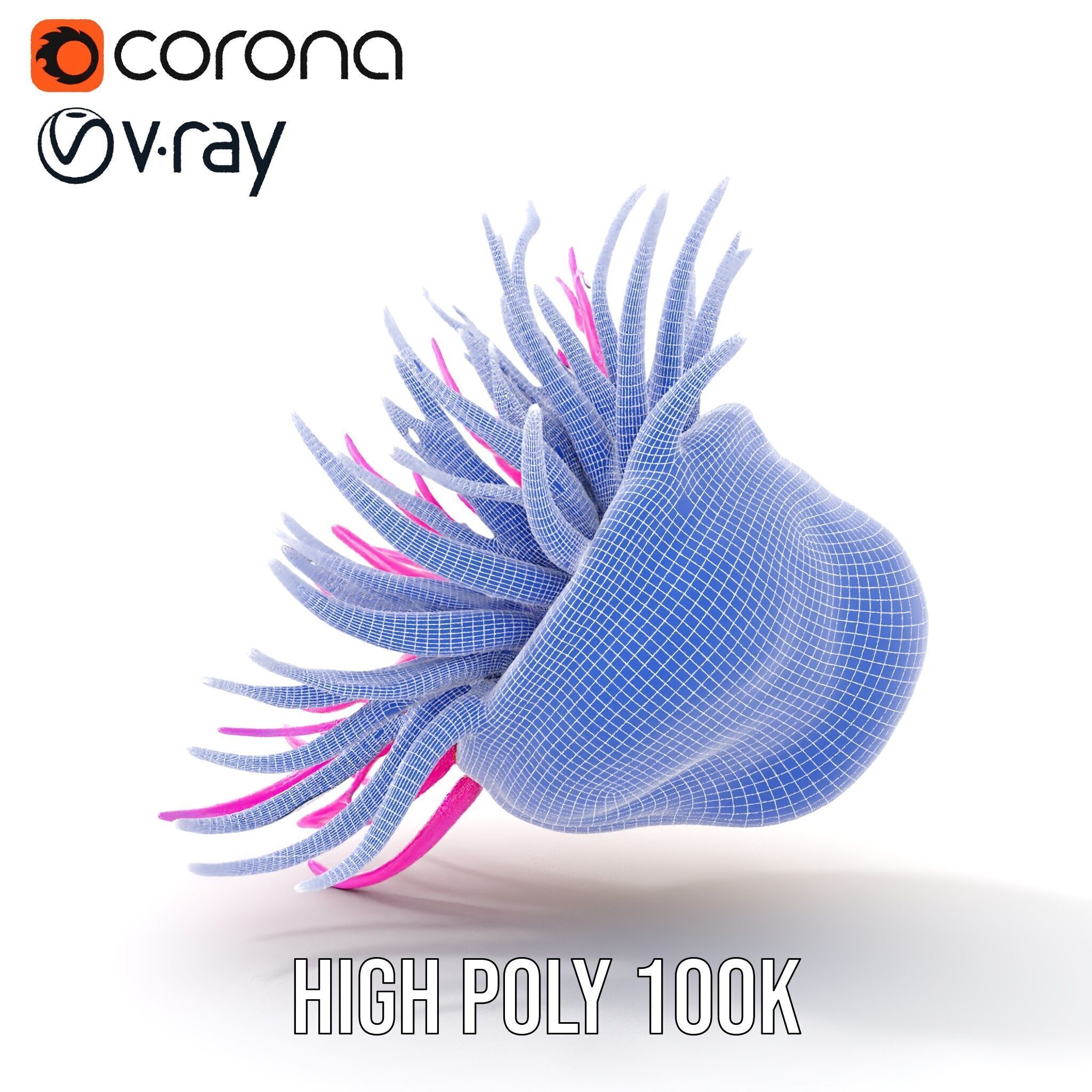 Sea Anemone Vibrant Tentacles Model Pack Low-poly 3D model_30