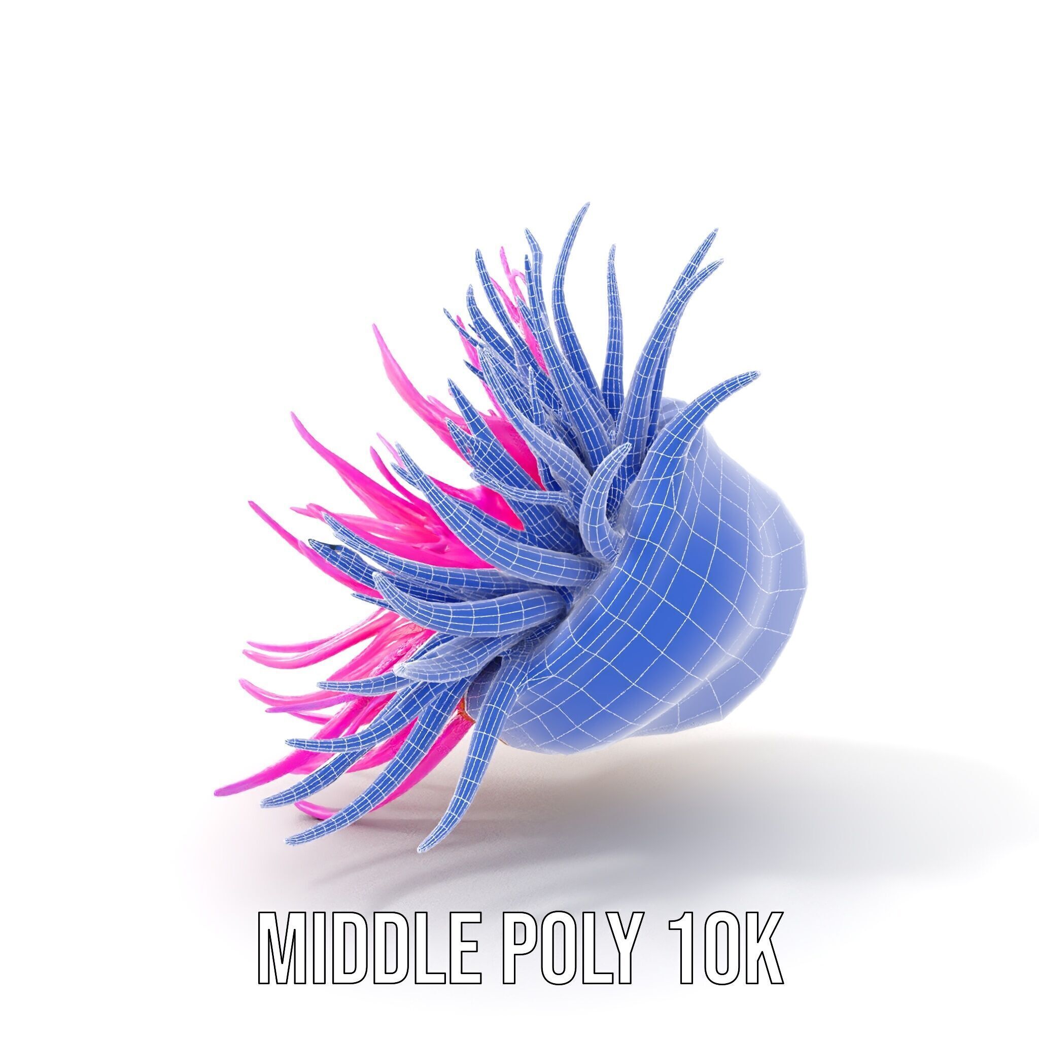 Sea Anemone Vibrant Tentacles Model Pack Low-poly 3D model_22