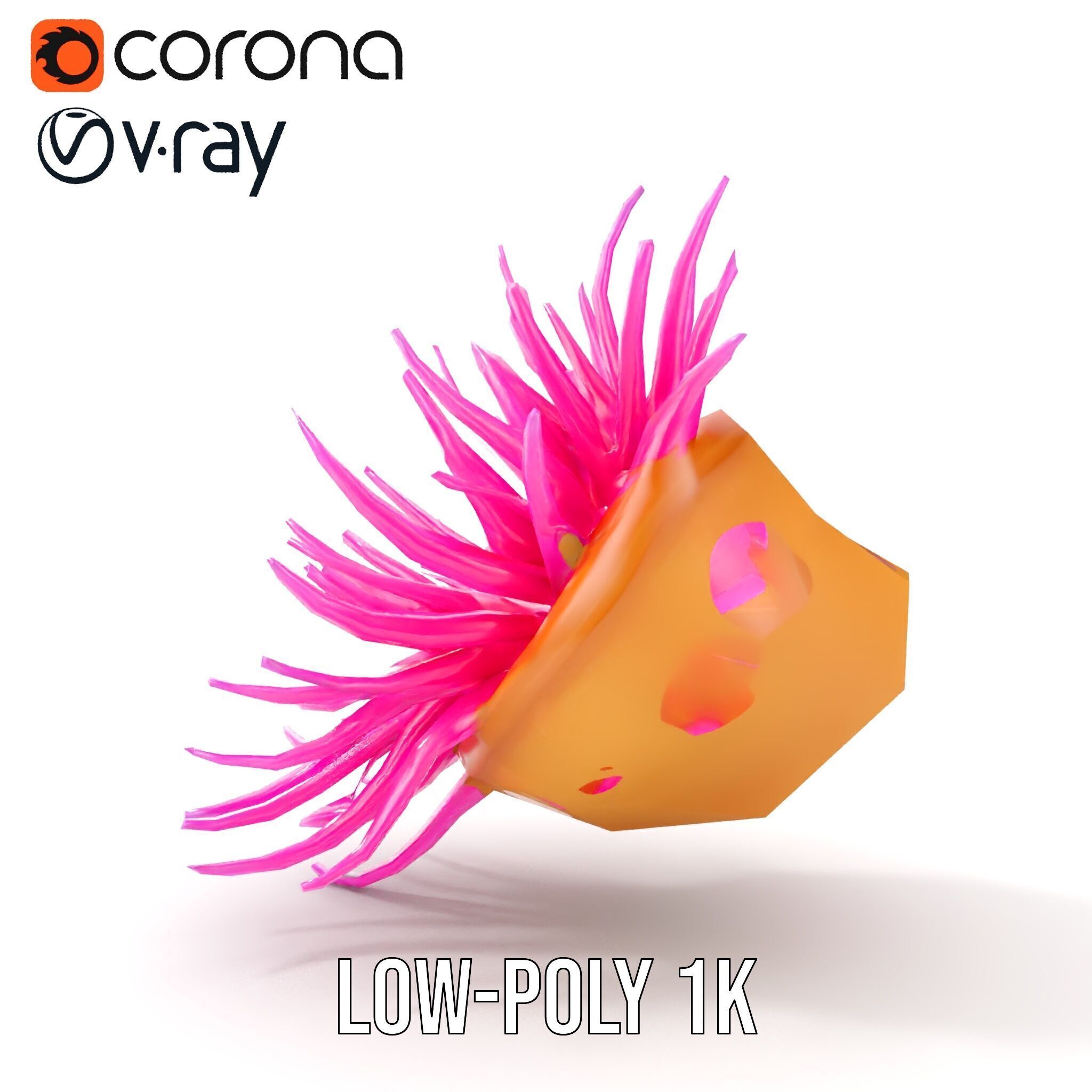 Sea Anemone Vibrant Tentacles Model Pack Low-poly 3D model_13