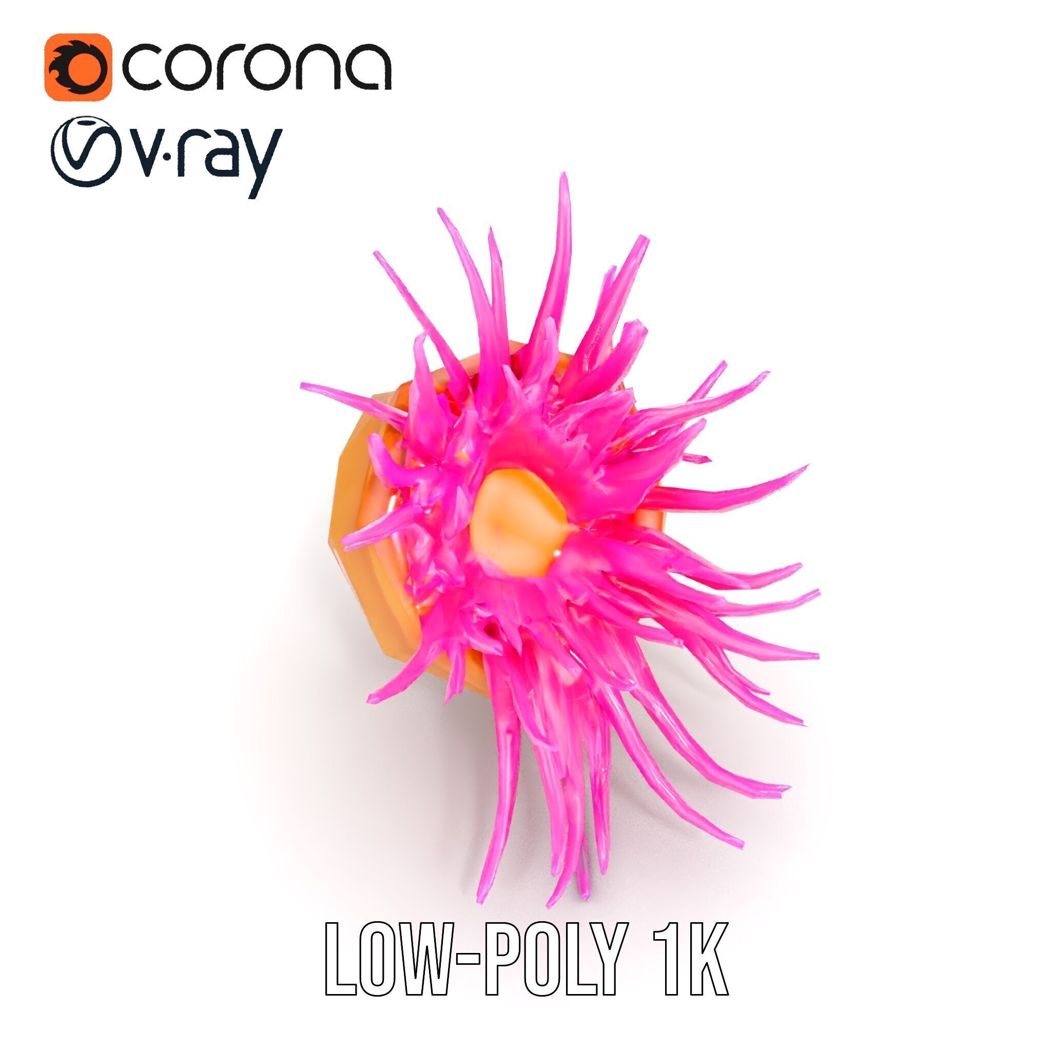 Sea Anemone Vibrant Tentacles Model Pack Low-poly 3D model_23