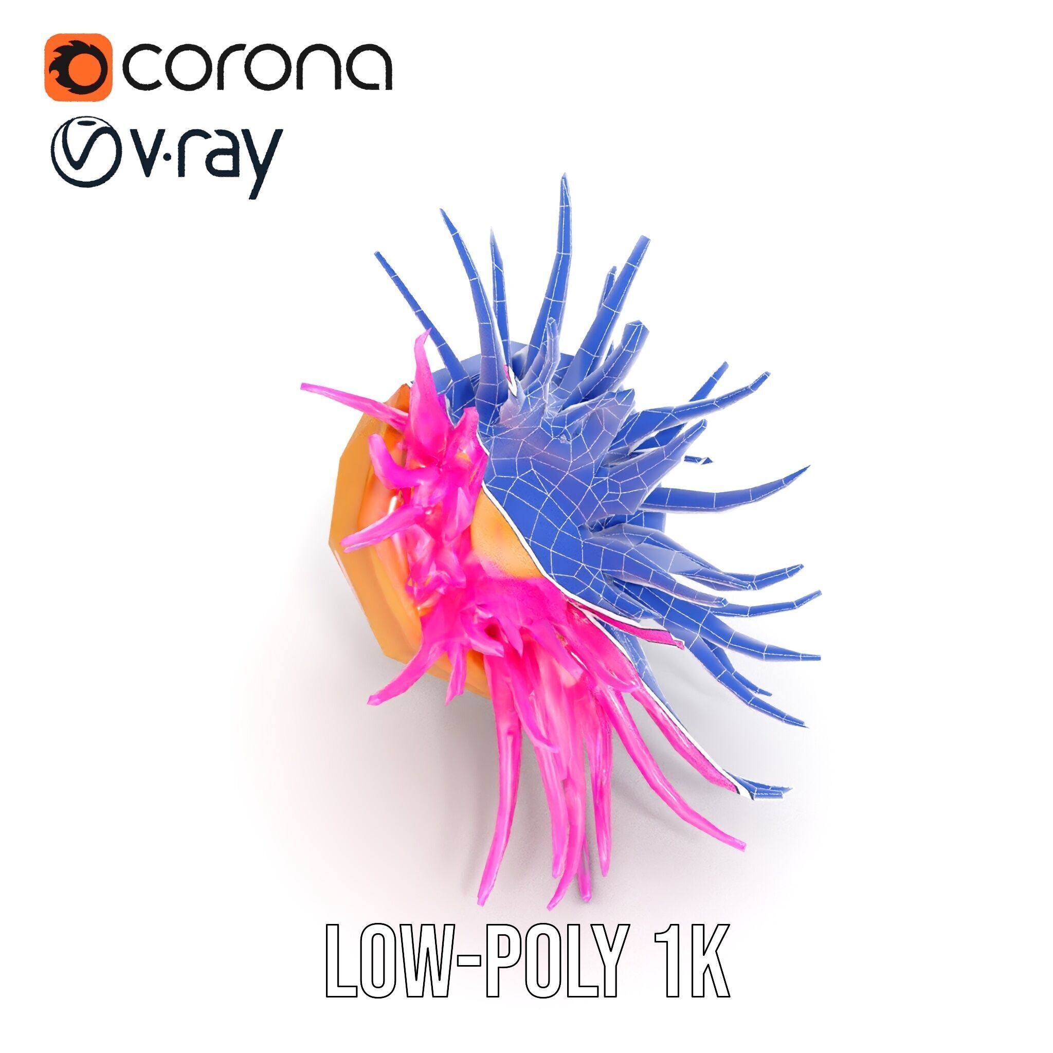 Sea Anemone Vibrant Tentacles Model Pack Low-poly 3D model_18
