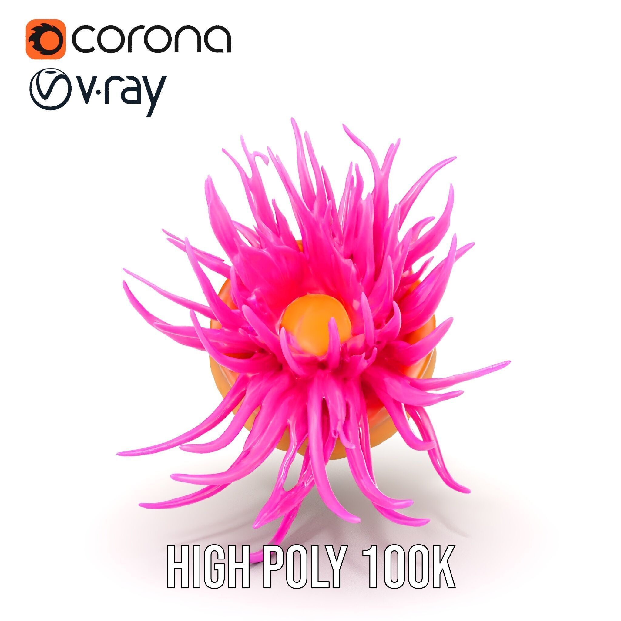Sea Anemone Vibrant Tentacles Model Pack Low-poly 3D model_37