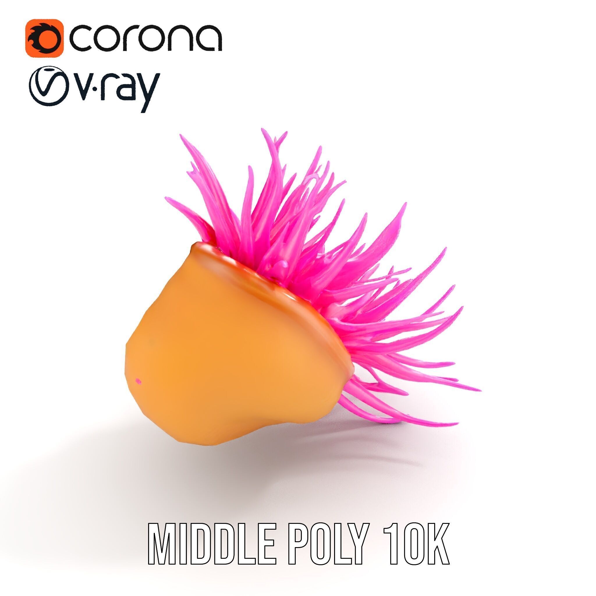 Sea Anemone Vibrant Tentacles Model Pack Low-poly 3D model_17
