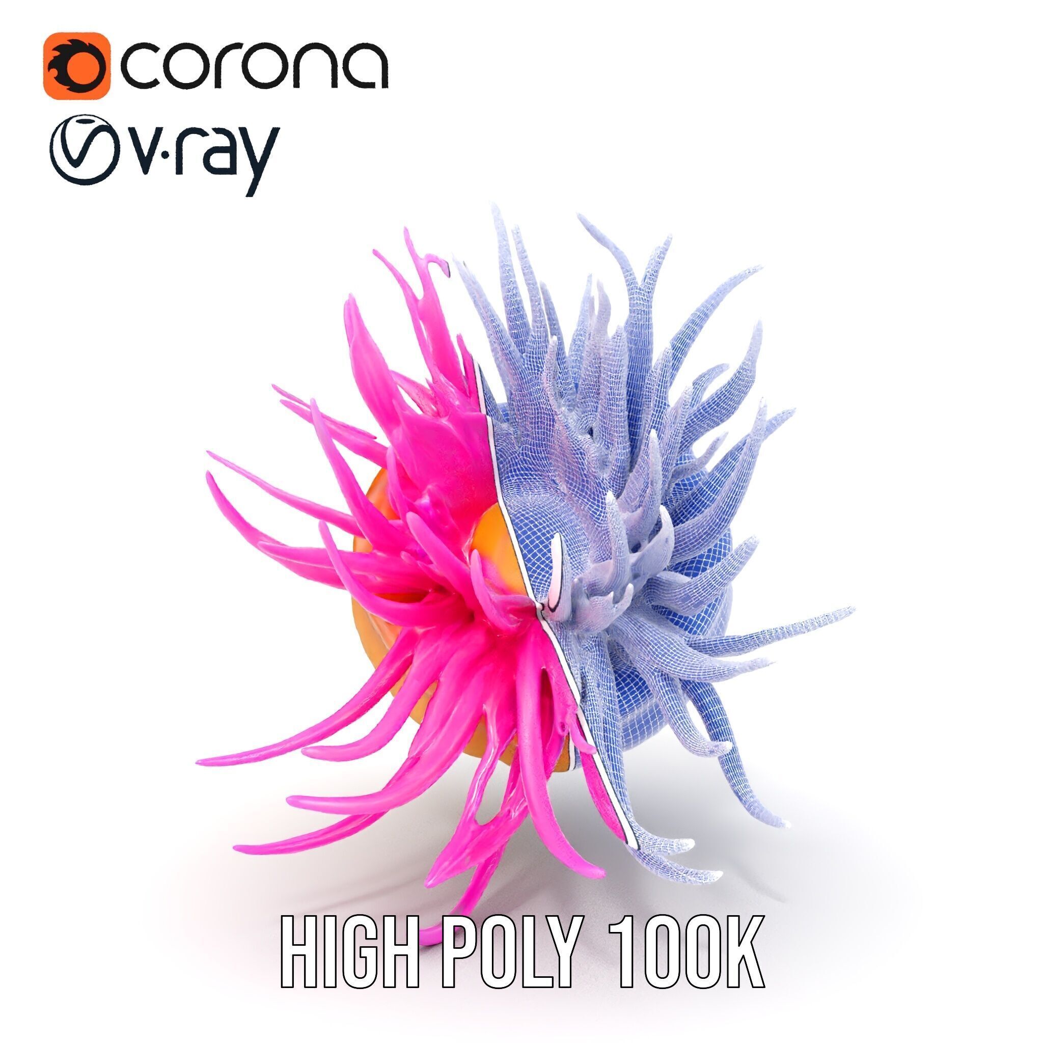 Sea Anemone Vibrant Tentacles Model Pack Low-poly 3D model_36