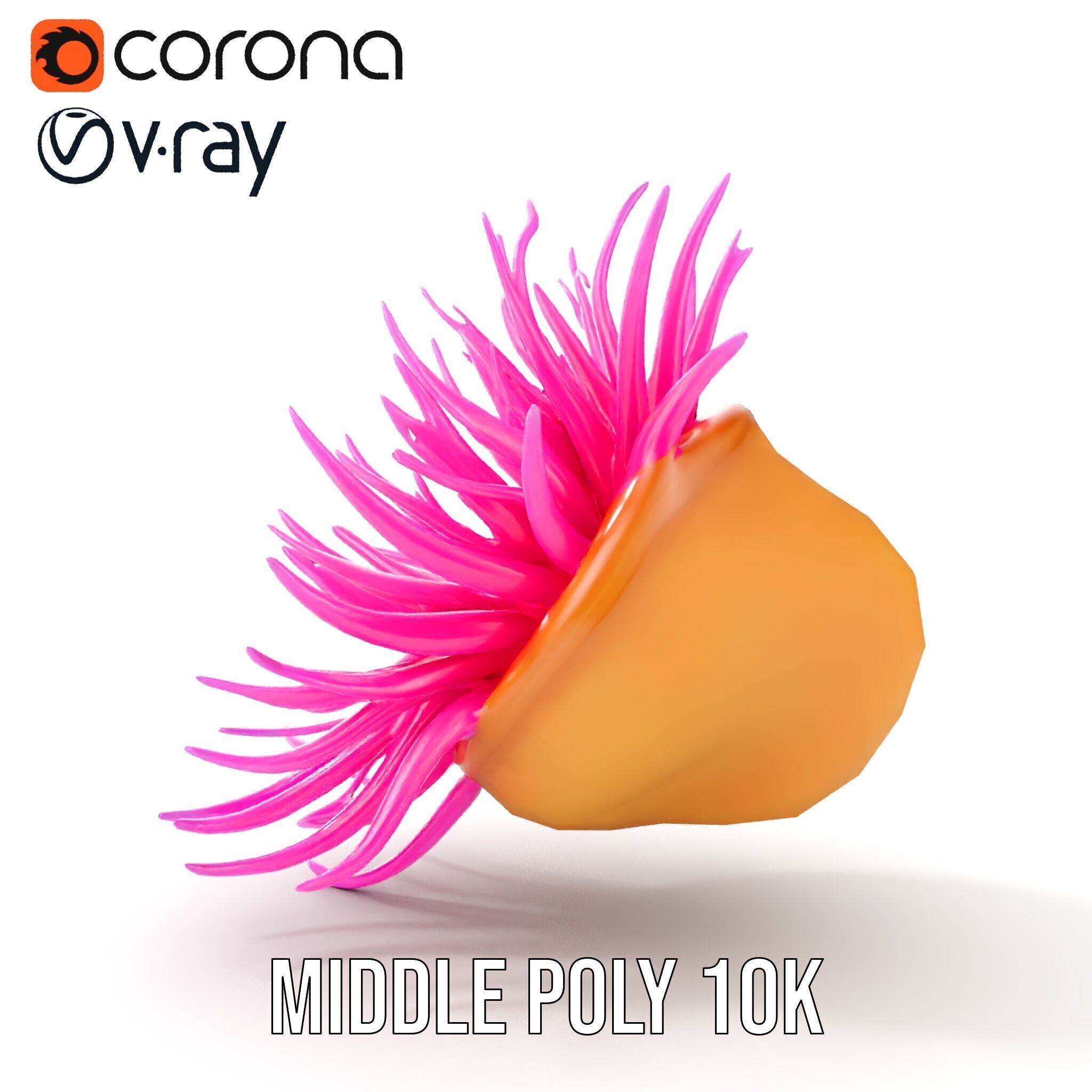 Sea Anemone Vibrant Tentacles Model Pack Low-poly 3D model_28