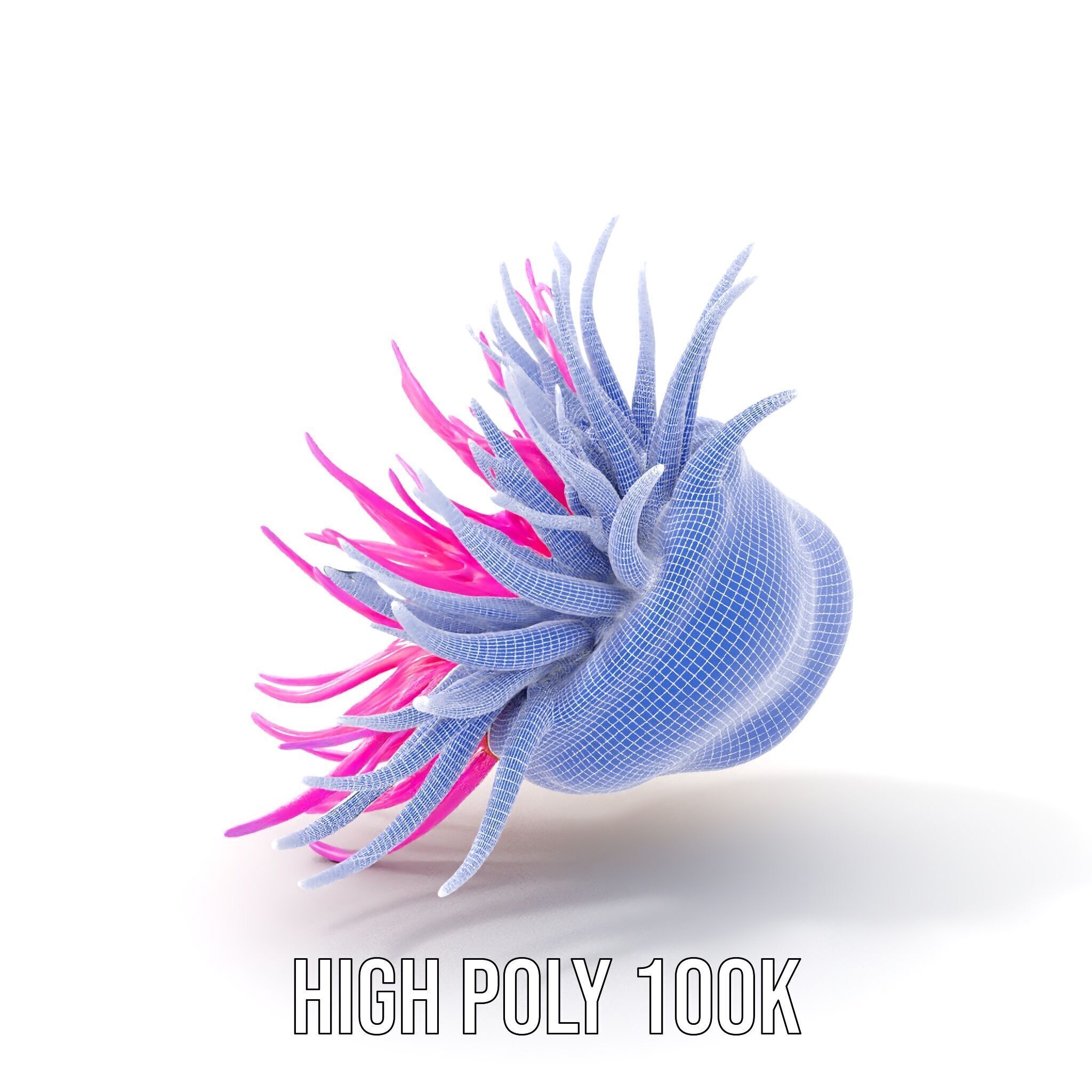 Sea Anemone Vibrant Tentacles Model Pack Low-poly 3D model_4
