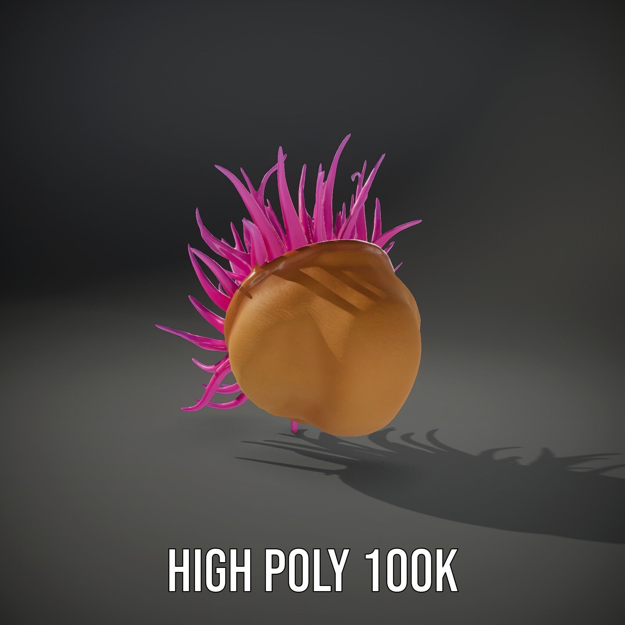 Sea Anemone Vibrant Tentacles Model Pack Low-poly 3D model_8