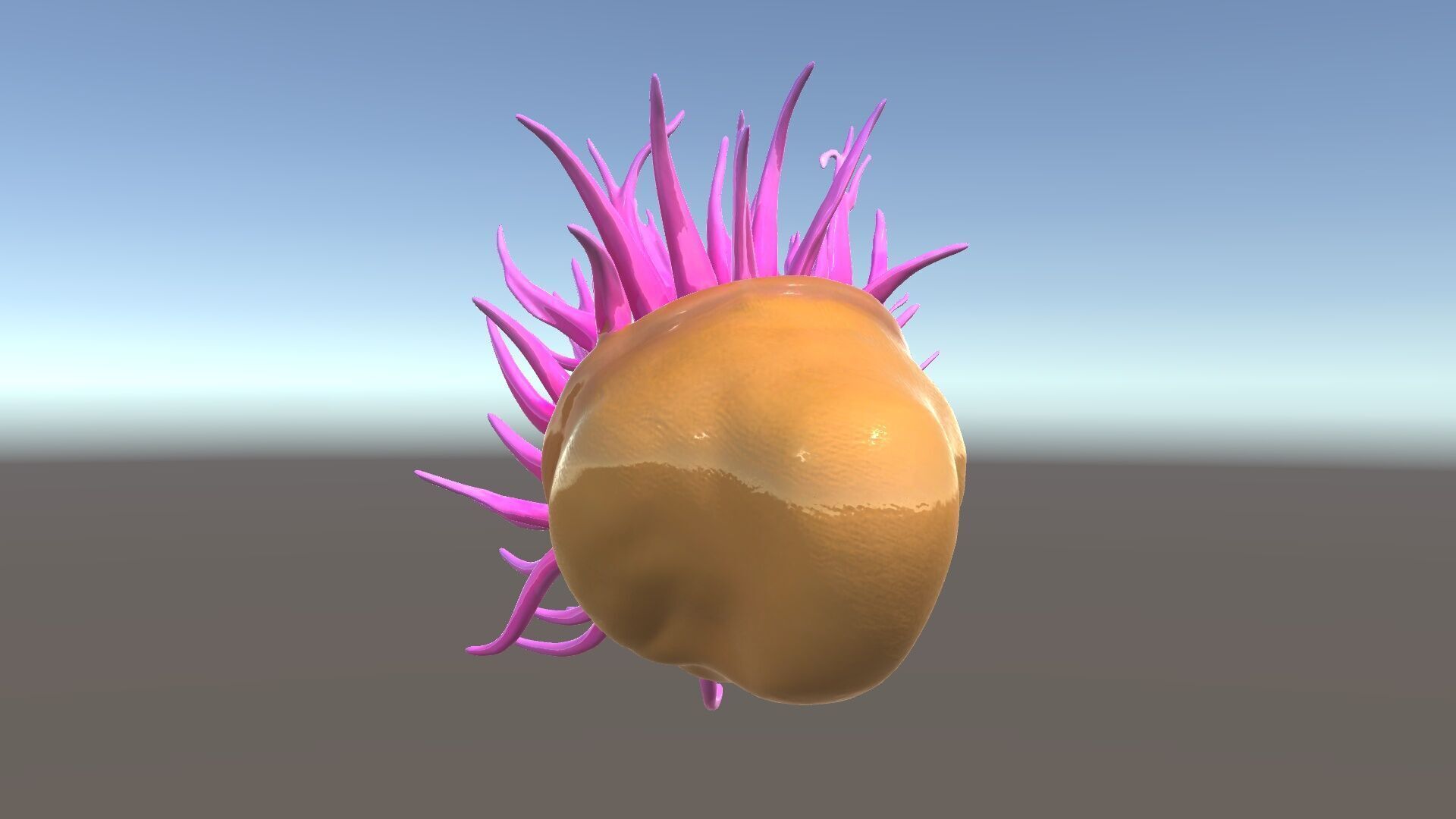 Sea Anemone Vibrant Tentacles Model Pack Low-poly 3D model_5