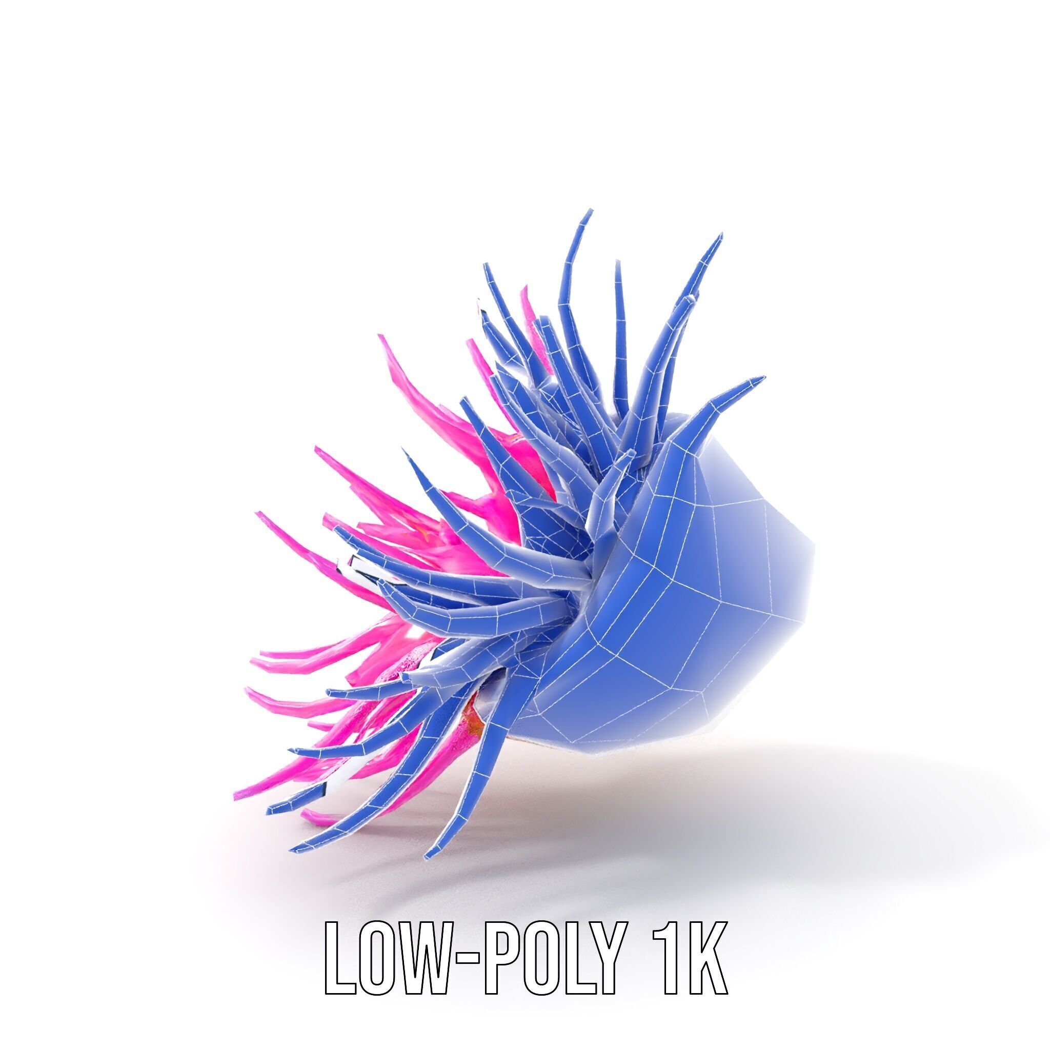 Sea Anemone Vibrant Tentacles Model Pack Low-poly 3D model_21