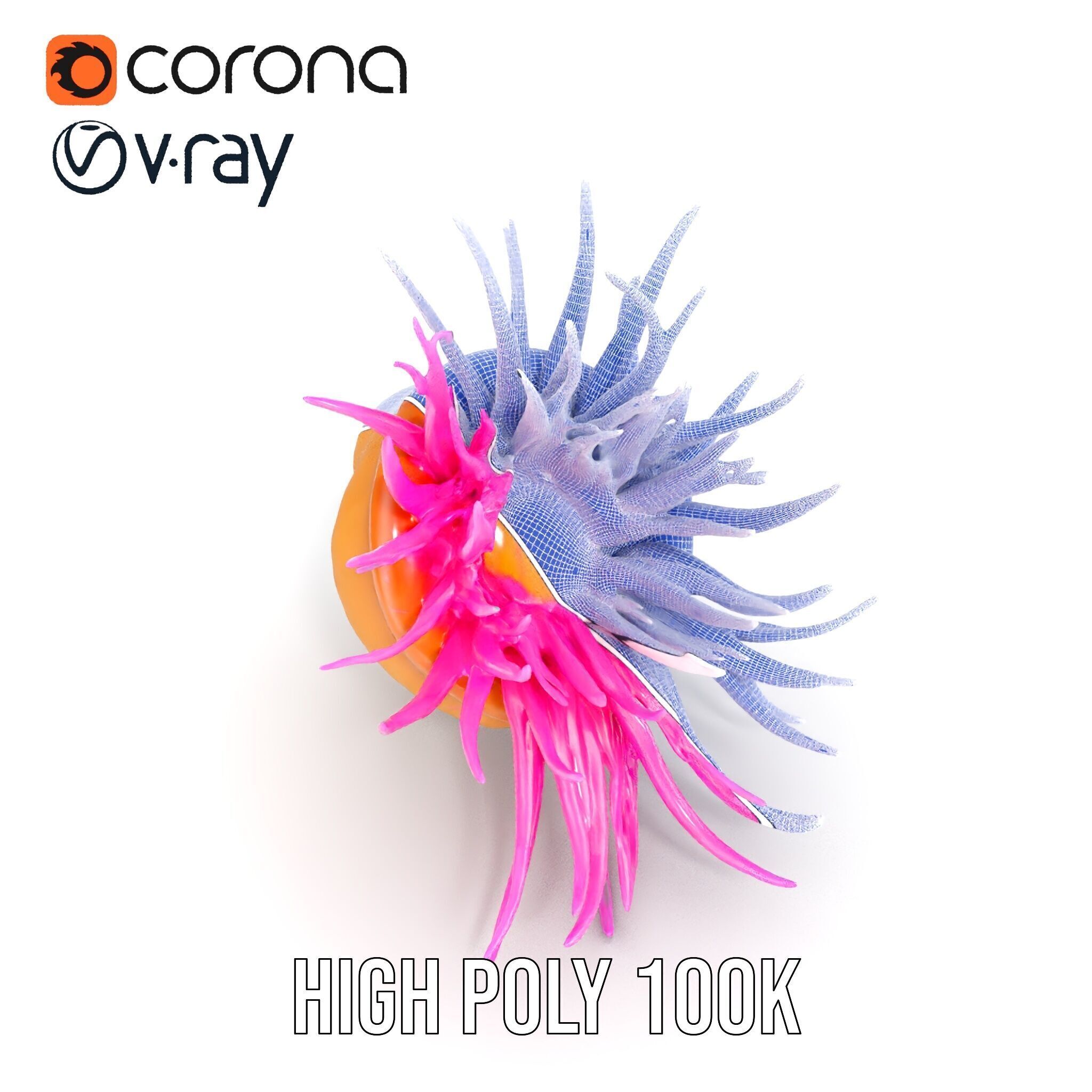 Sea Anemone Vibrant Tentacles Model Pack Low-poly 3D model_38