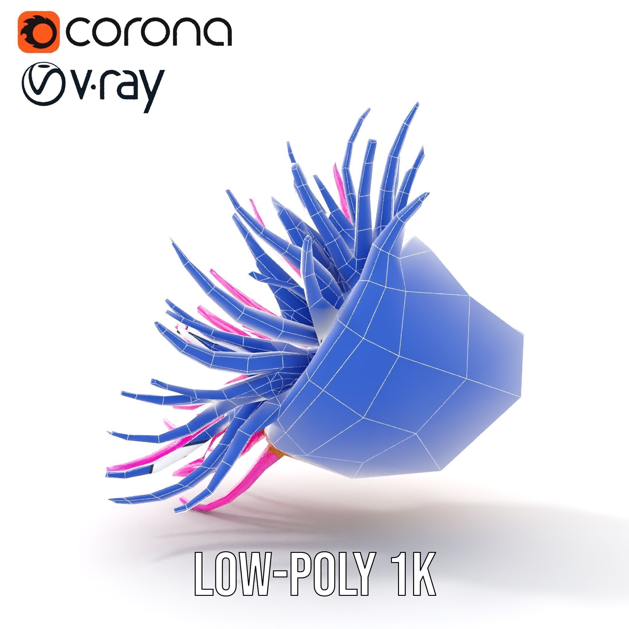 Sea Anemone Vibrant Tentacles Model Pack Low-poly 3D model_32