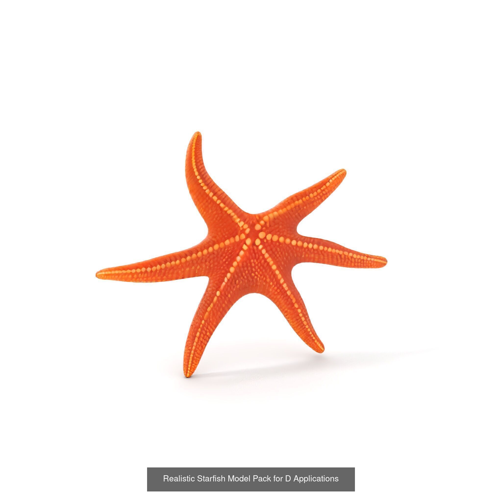 Oceanic Realms 3D Model Collection _27