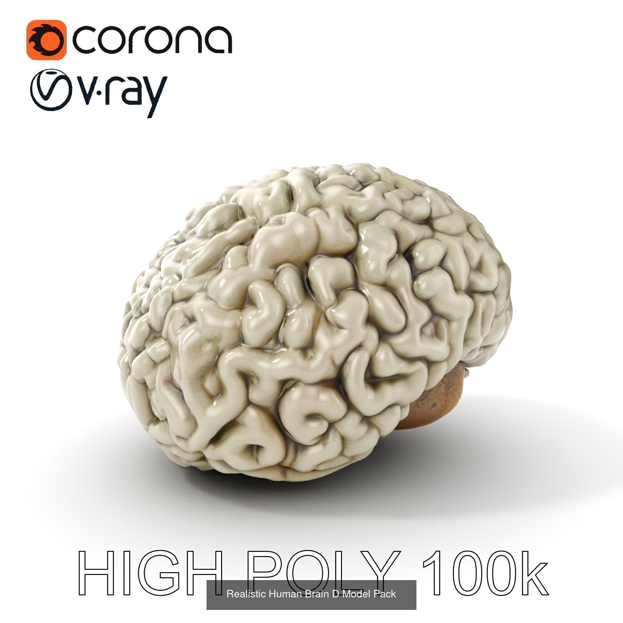 Oceanic Realms 3D Model Collection _24