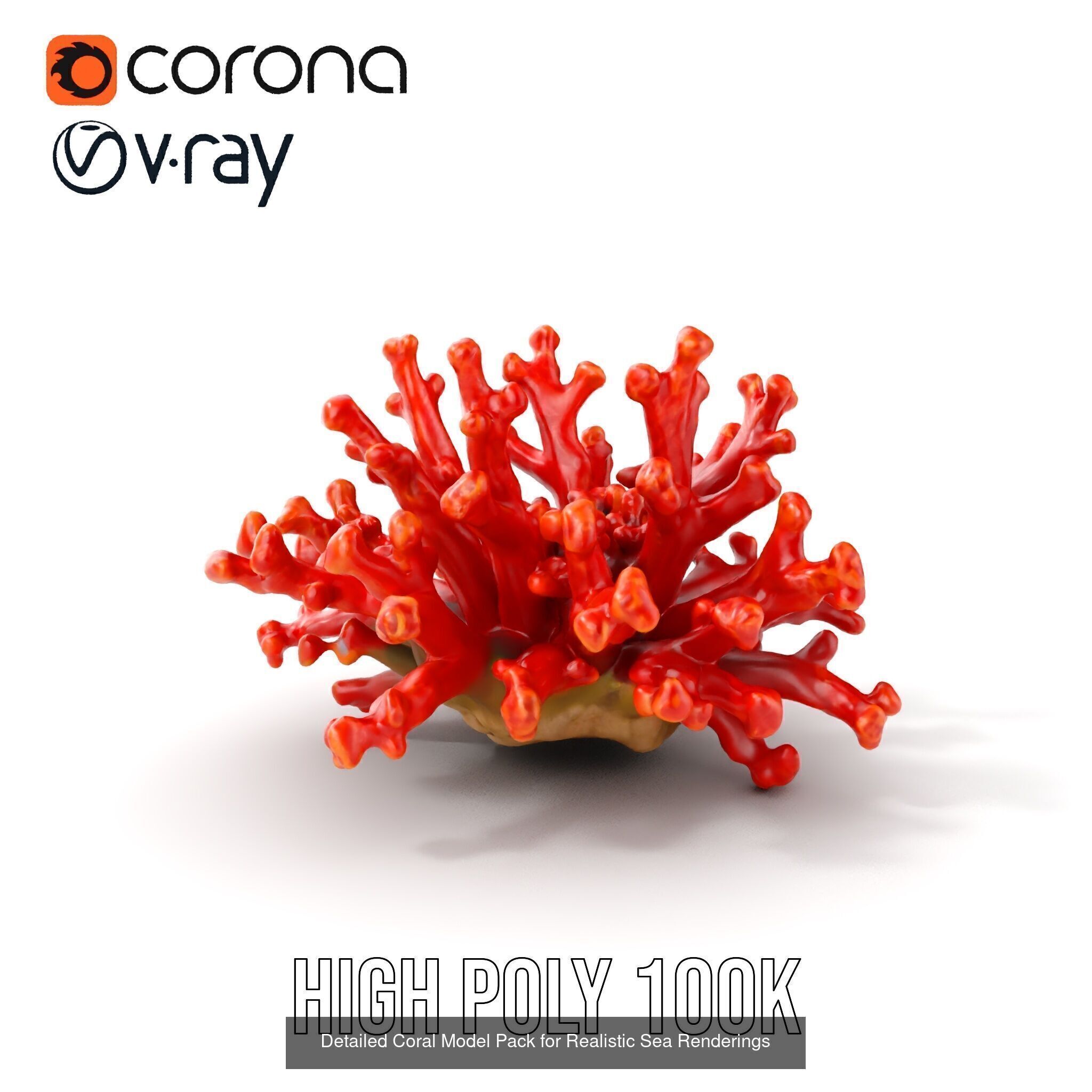 Oceanic Realms 3D Model Collection _21