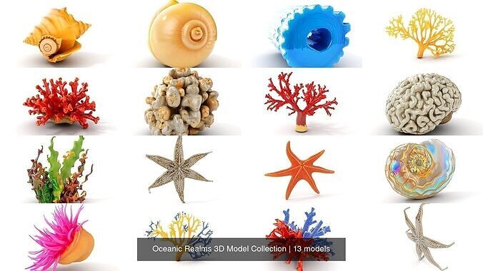 Oceanic Realms 3D Model Collection 