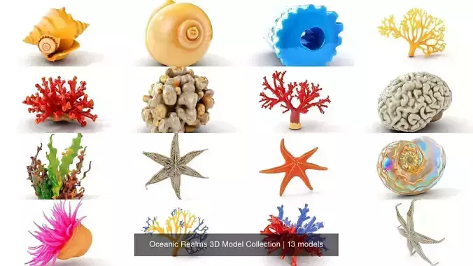 Oceanic Realms 3D Model Collection 
