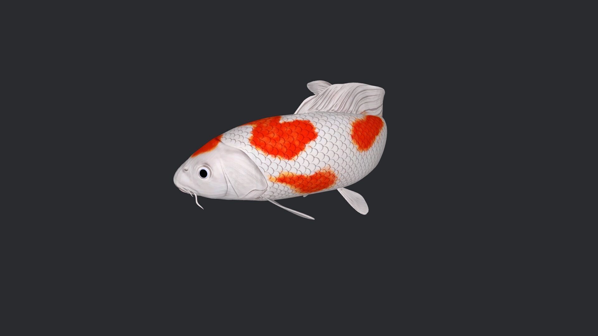 Koi Fish 3D Model Ready to Print 3D print model_1
