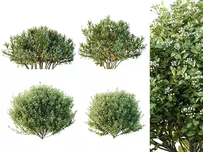 AV Different colorful spring bushes 3D model