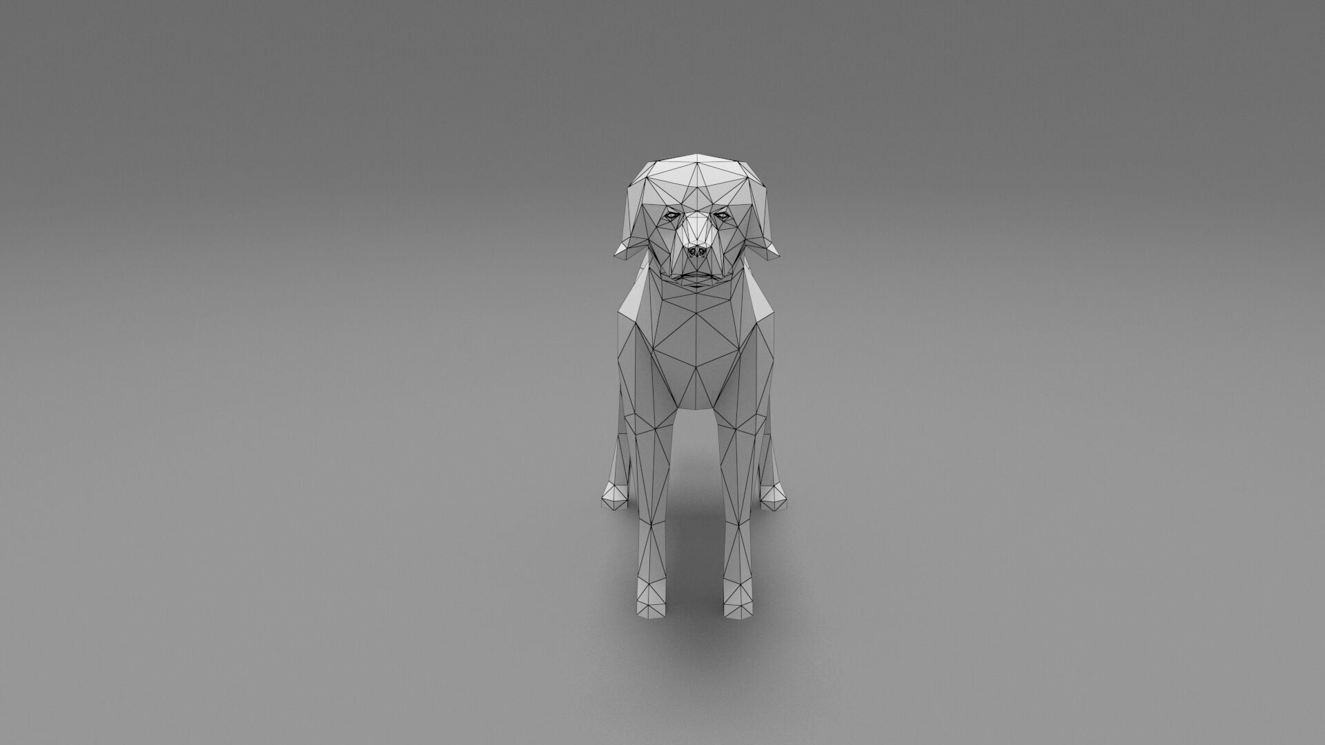 Dog Low Poly 03 Low-poly 3D model_7