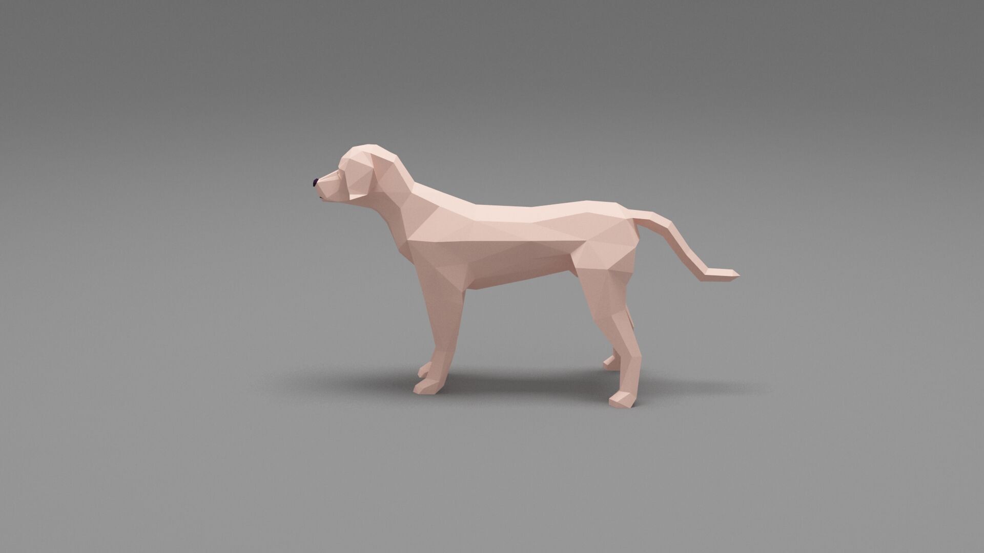 Dog Low Poly 03 Low-poly 3D model_2