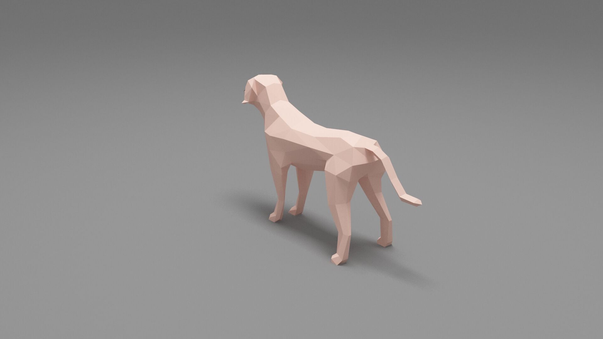 Dog Low Poly 03 Low-poly 3D model_3