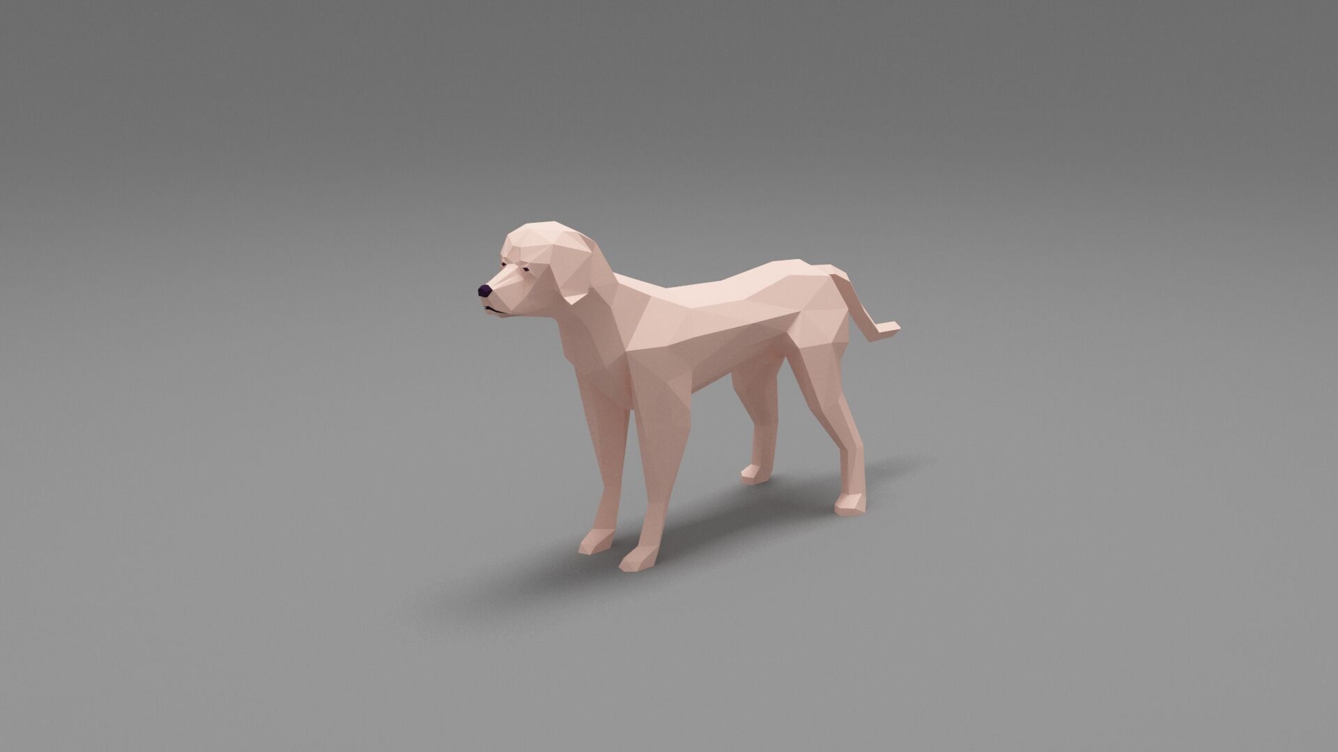 Dog Low Poly 03 Low-poly 3D model_1
