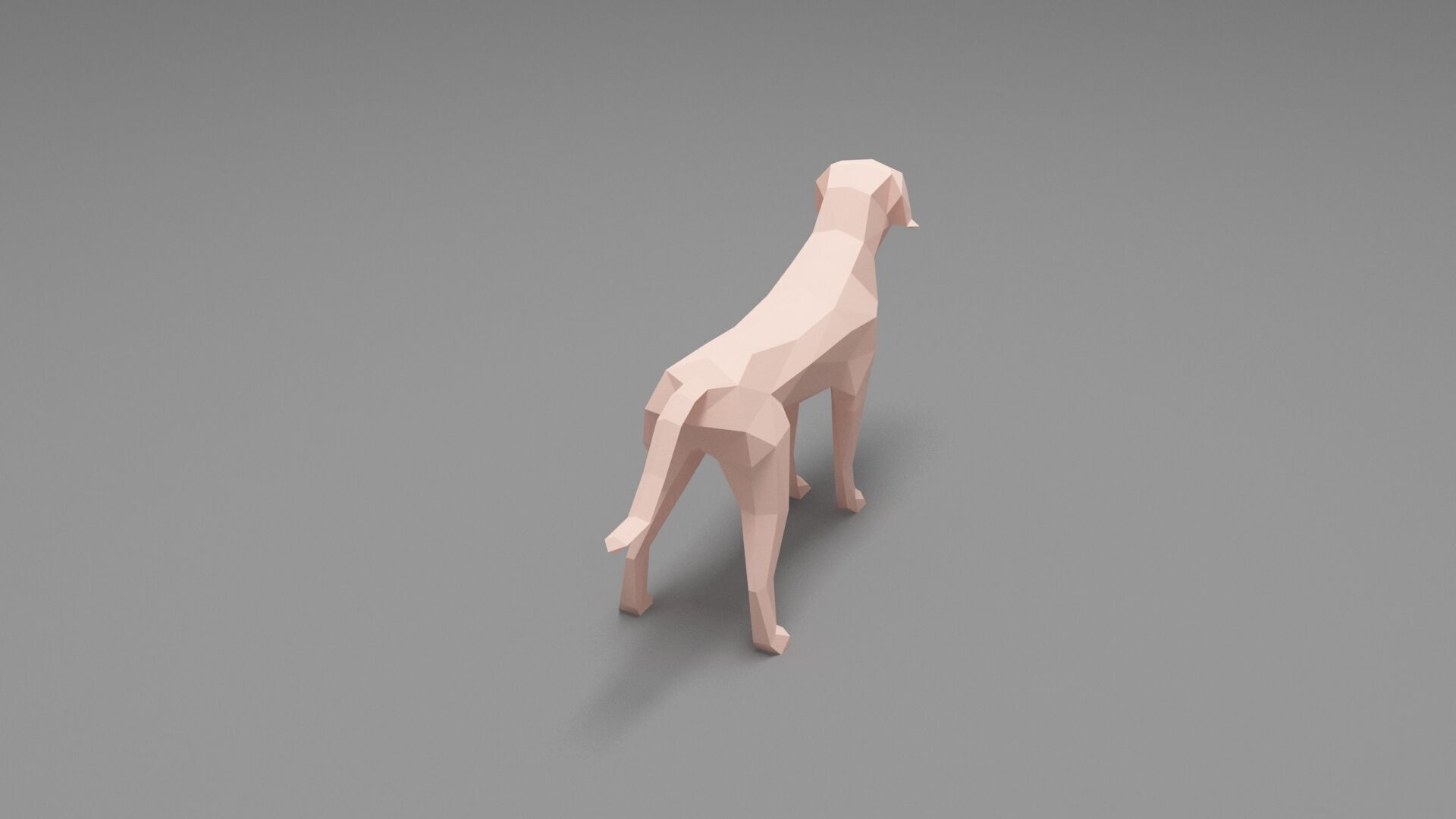 Dog Low Poly 03 Low-poly 3D model_4