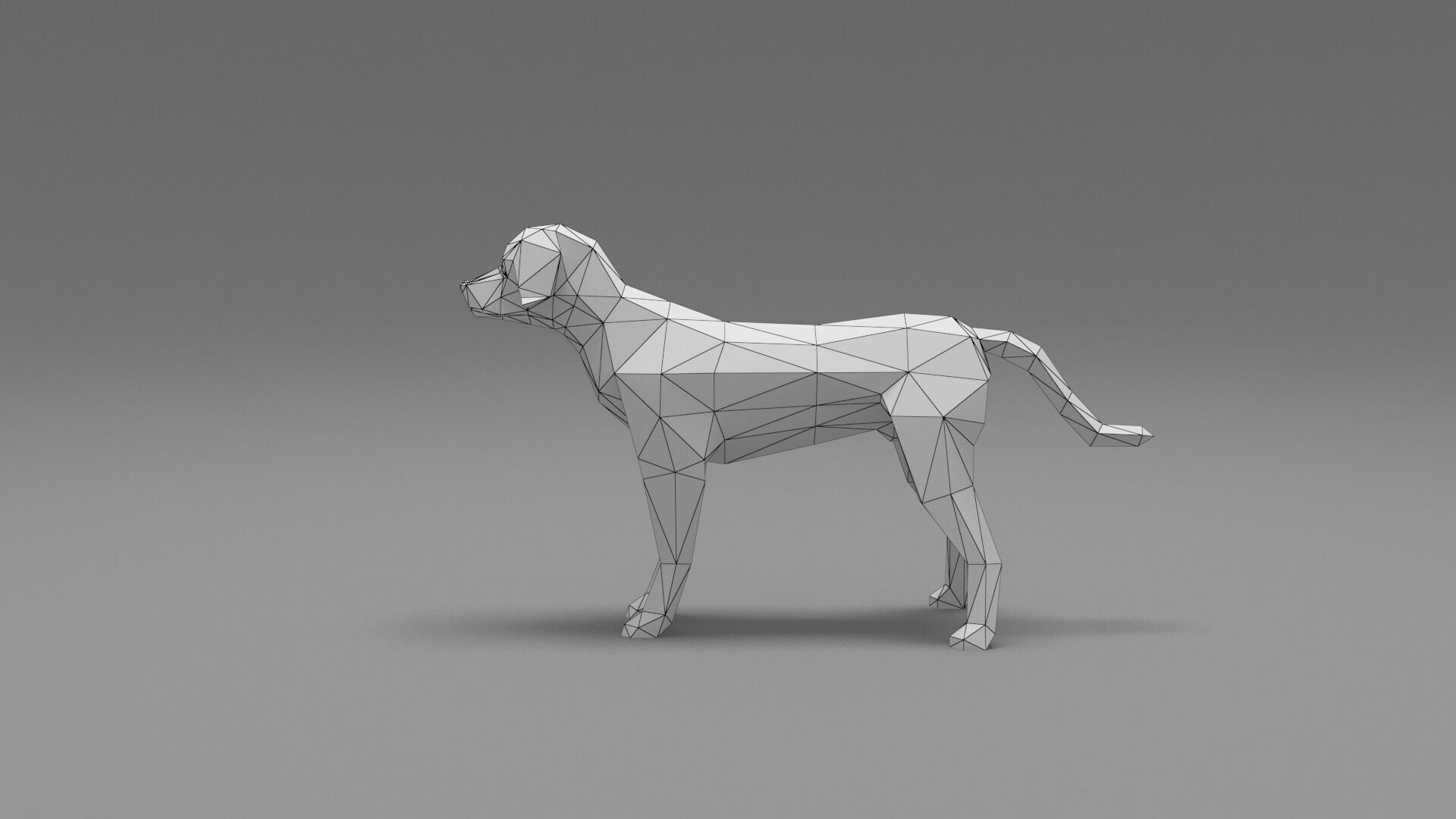 Dog Low Poly 03 Low-poly 3D model_8
