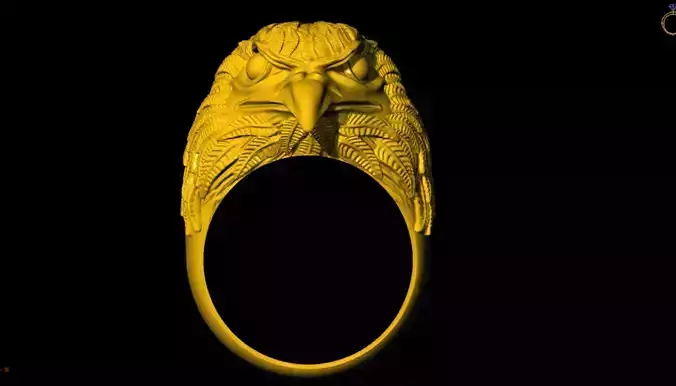 eagle 3d ring