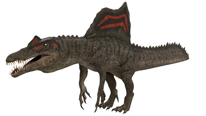 Spinosaurus 3D model