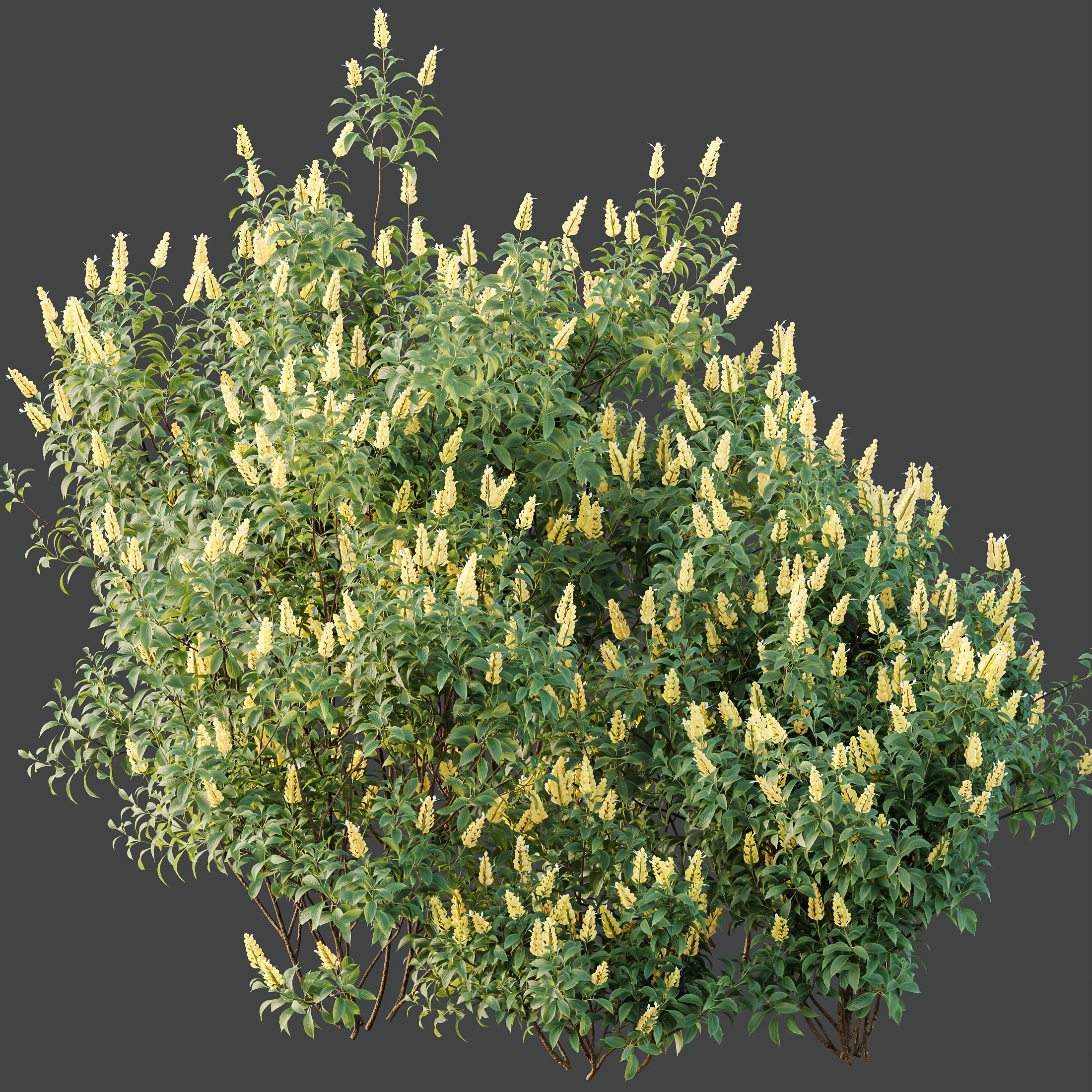 AV Spring bushes 3D model_10