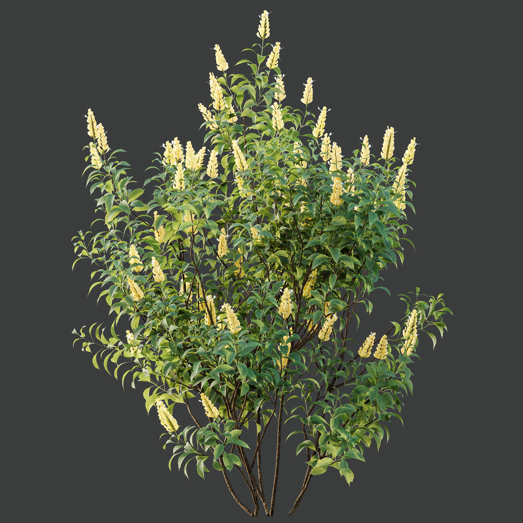AV Spring bushes 3D model_2