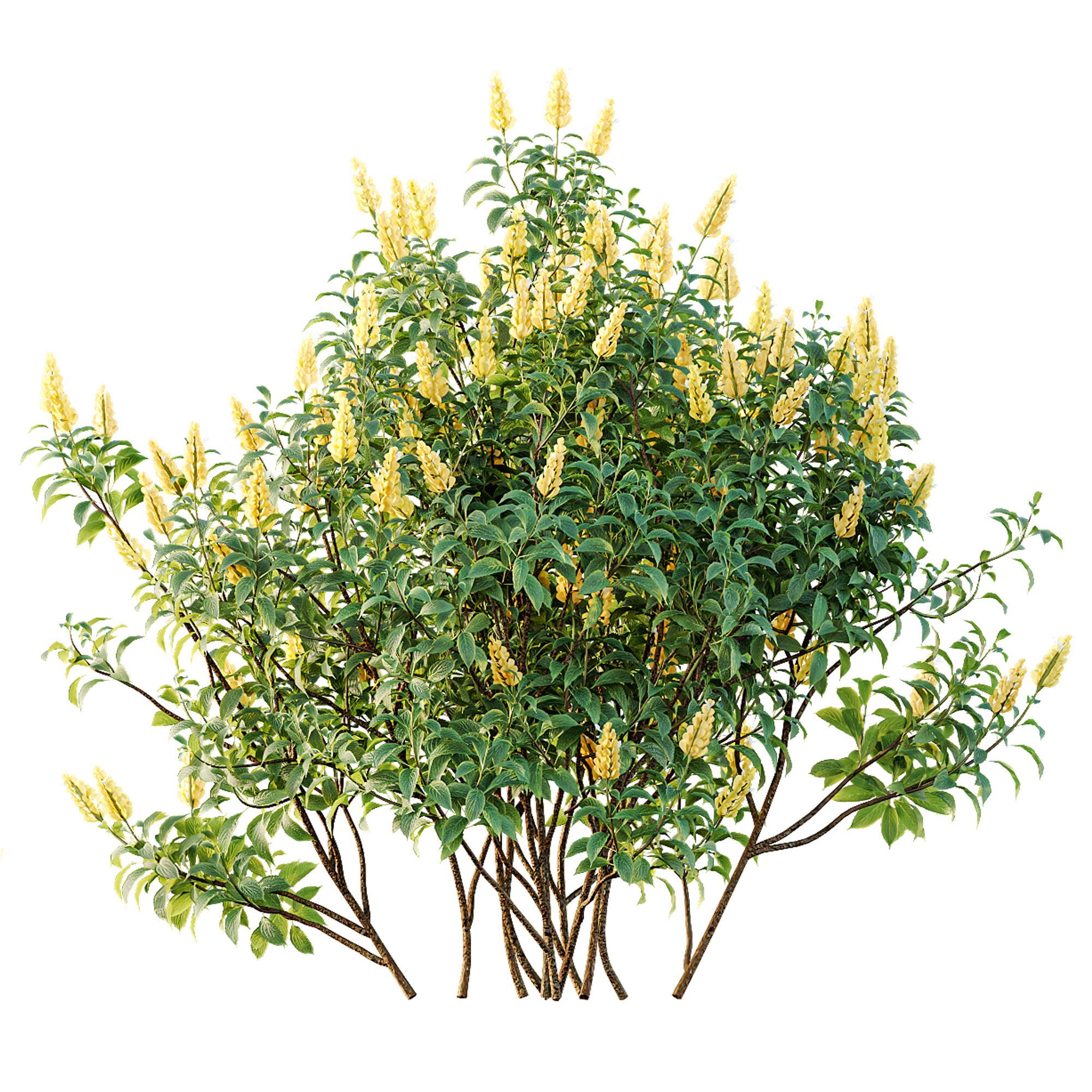 AV Spring bushes 3D model_8