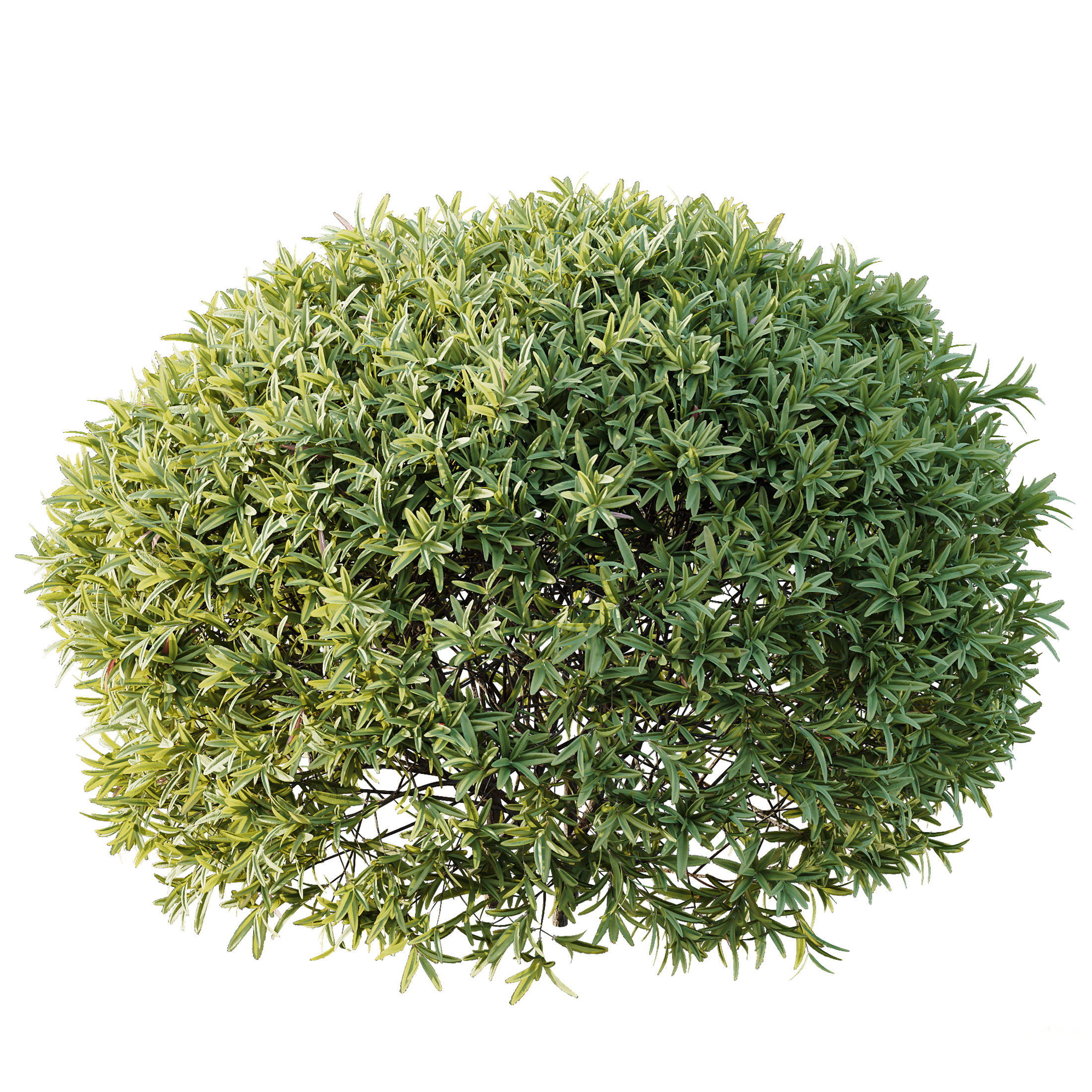 AV Spring bushes 3D model_9