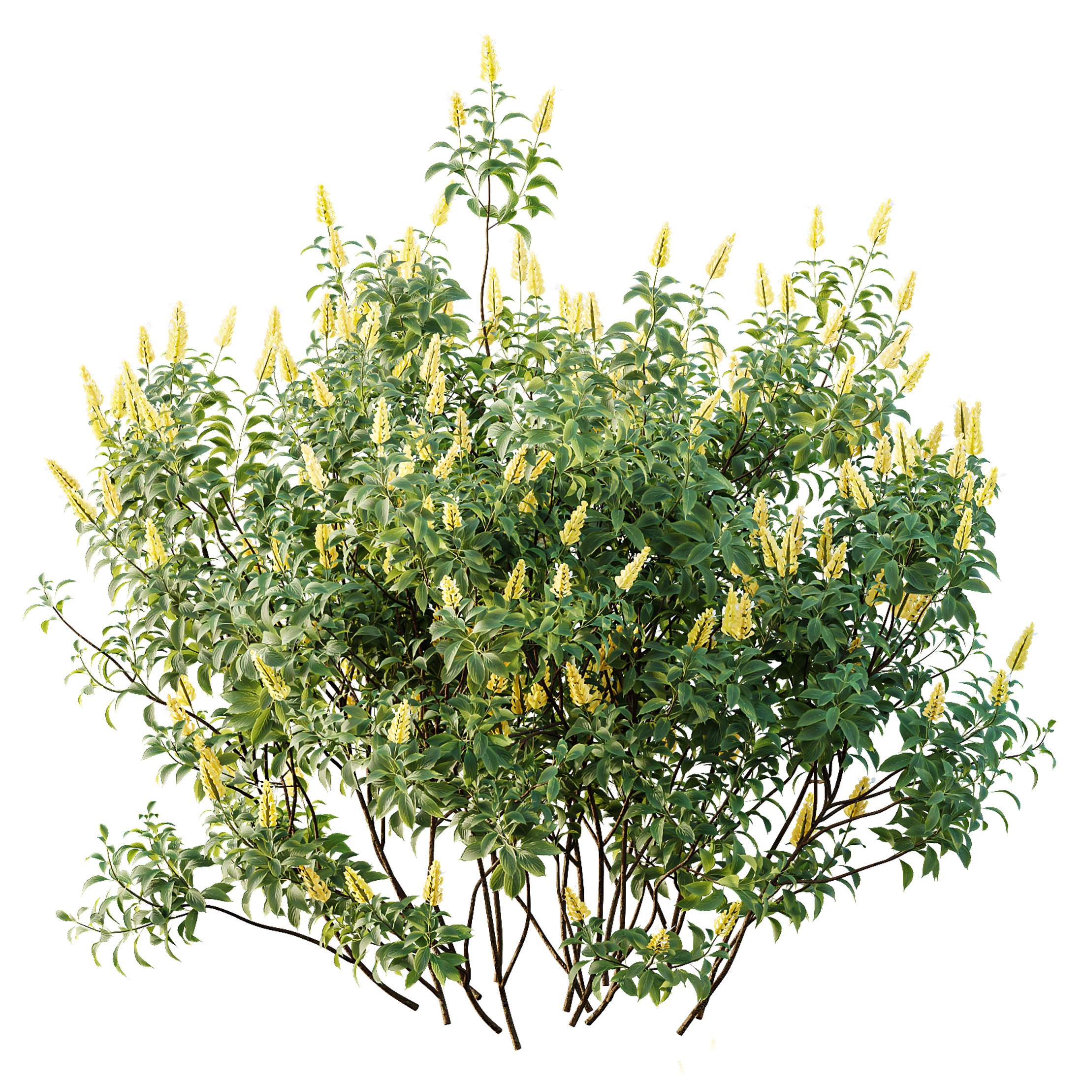 AV Spring bushes 3D model_4