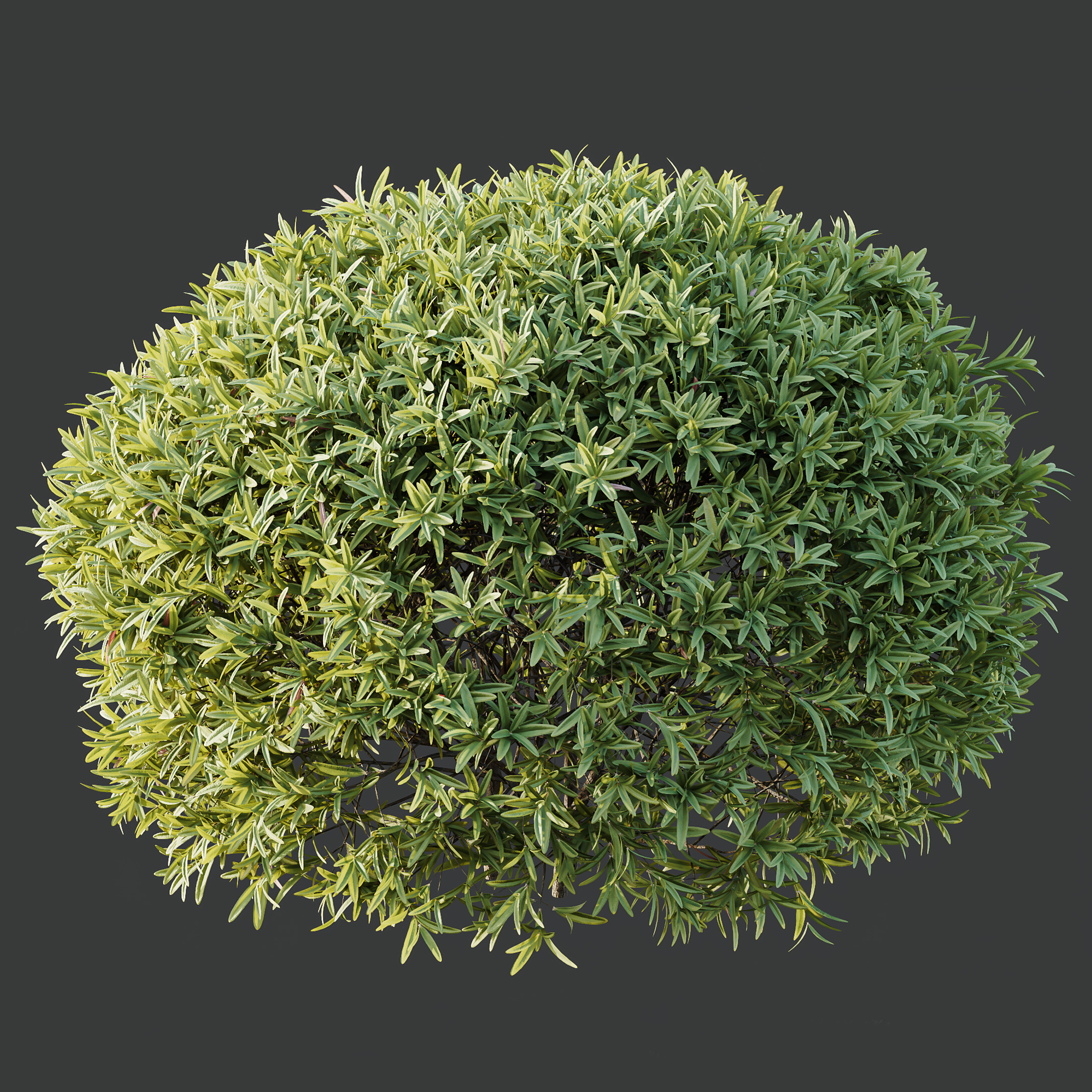 AV Spring bushes 3D model_5