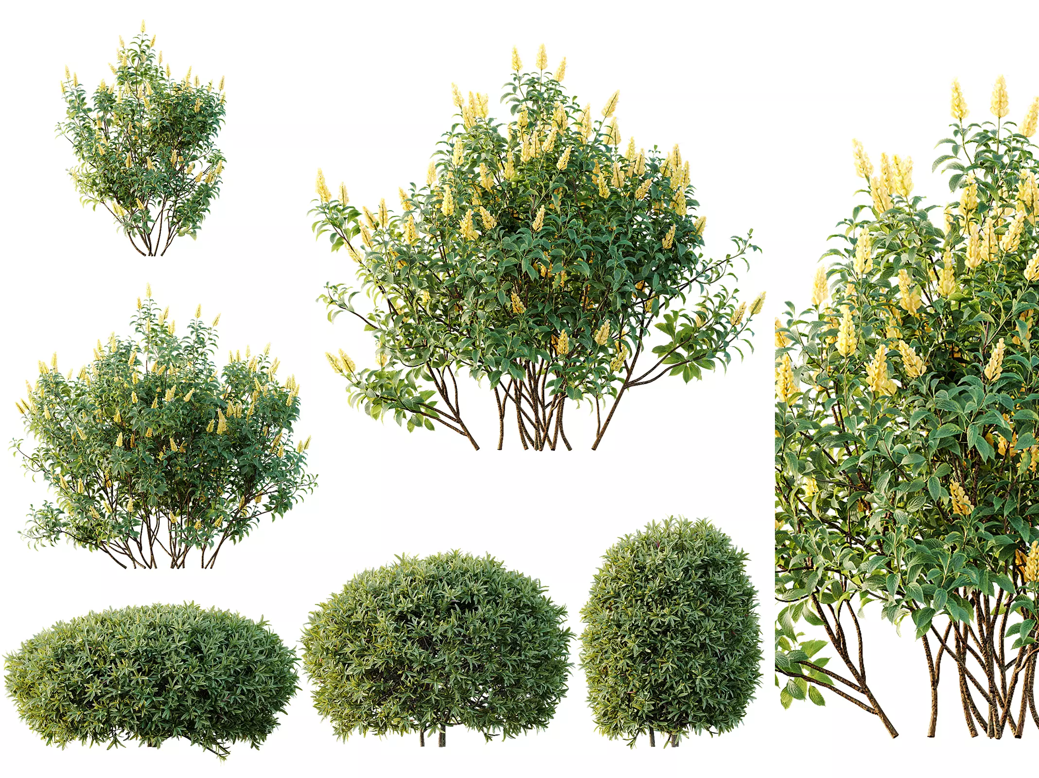 AV Spring bushes 3D model_0
